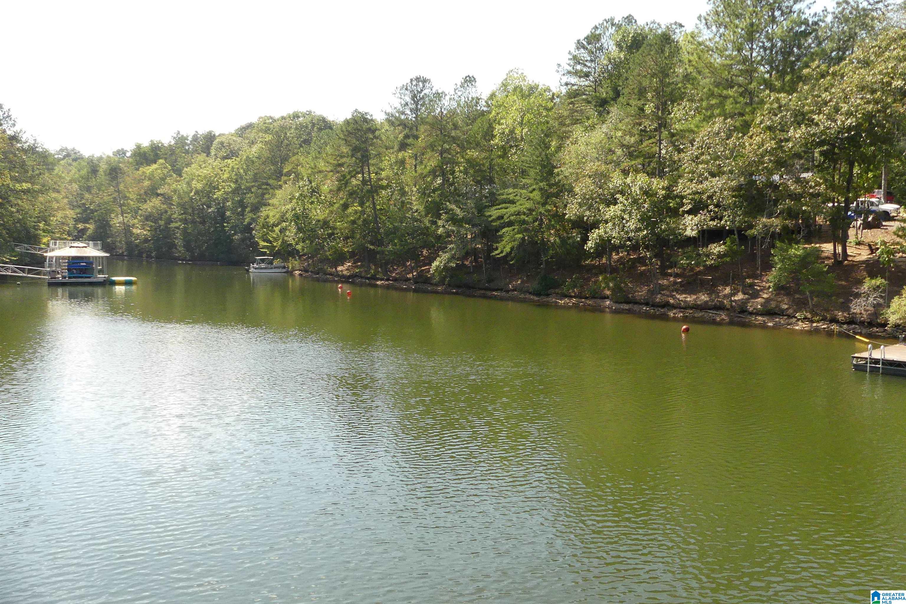 Lot 11 Brookwater Pointe Property Photo 4