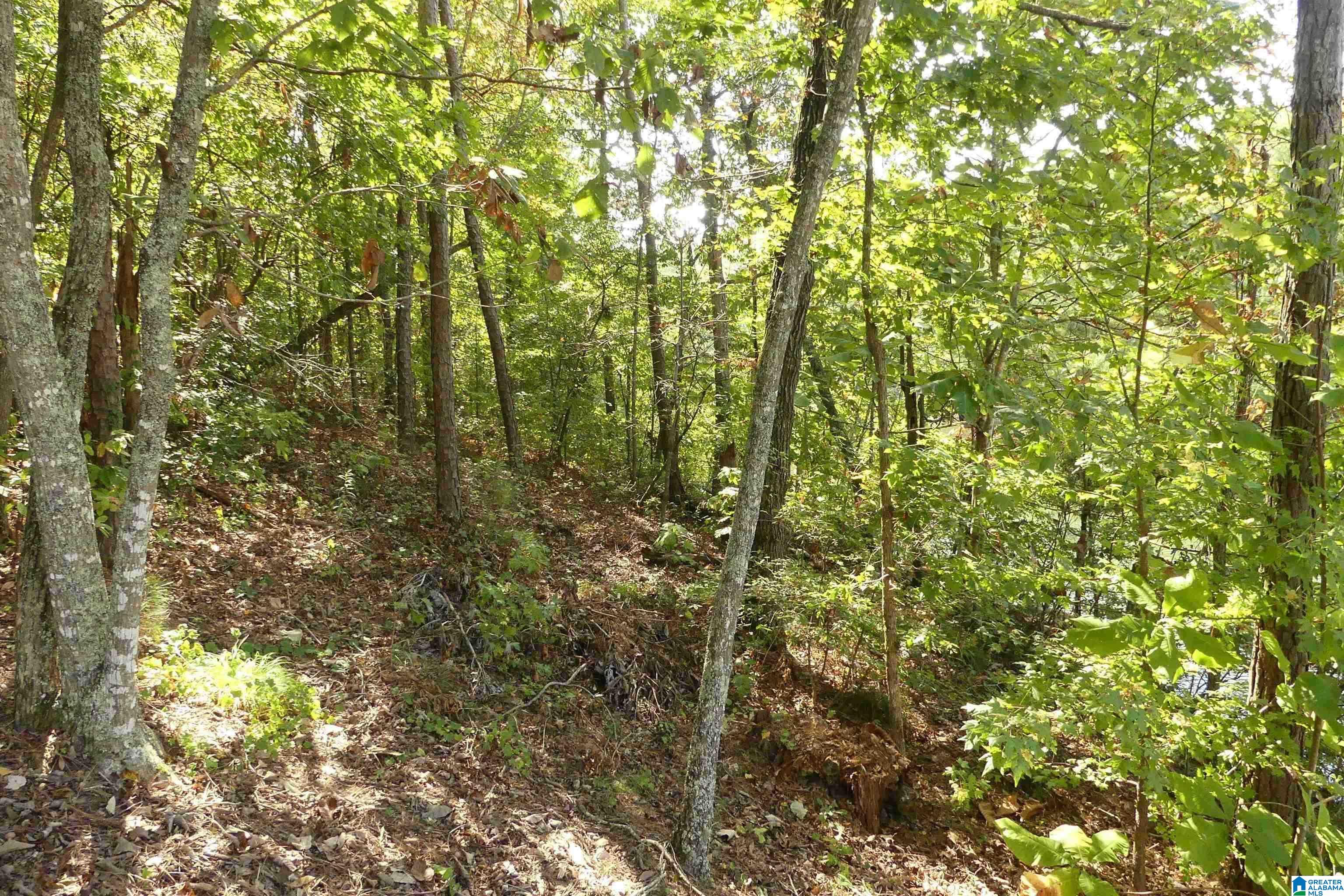 Lot 11 Brookwater Pointe Property Photo 6