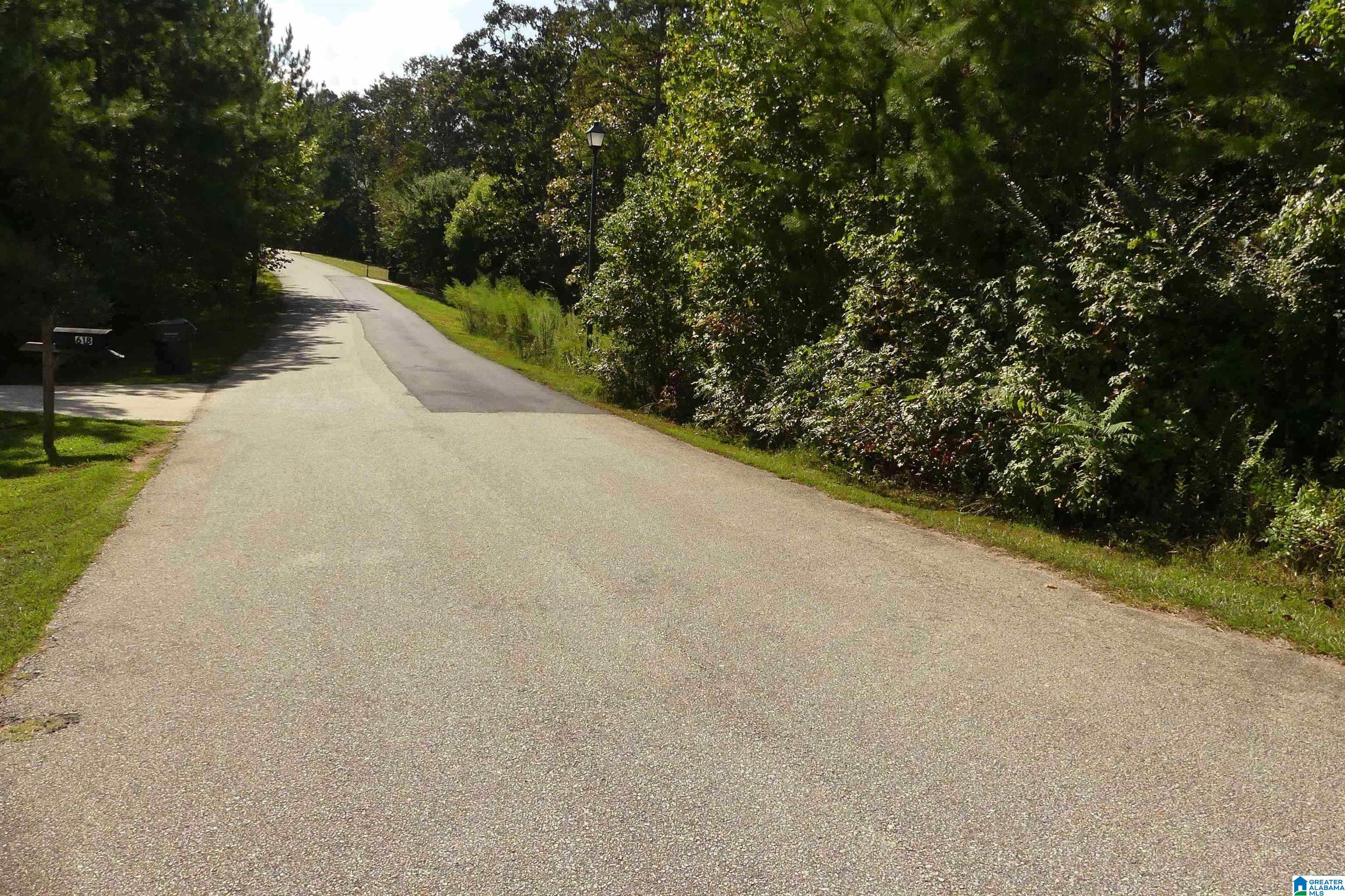 Lot 11 Brookwater Pointe Property Photo 10