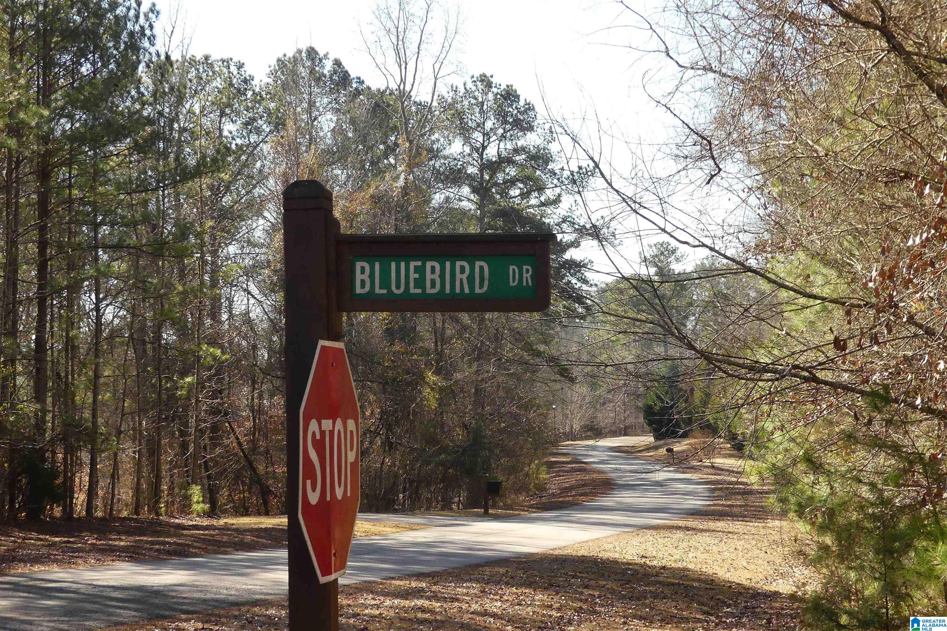 Lot 67 Blue Bird Drive Property Photo 3