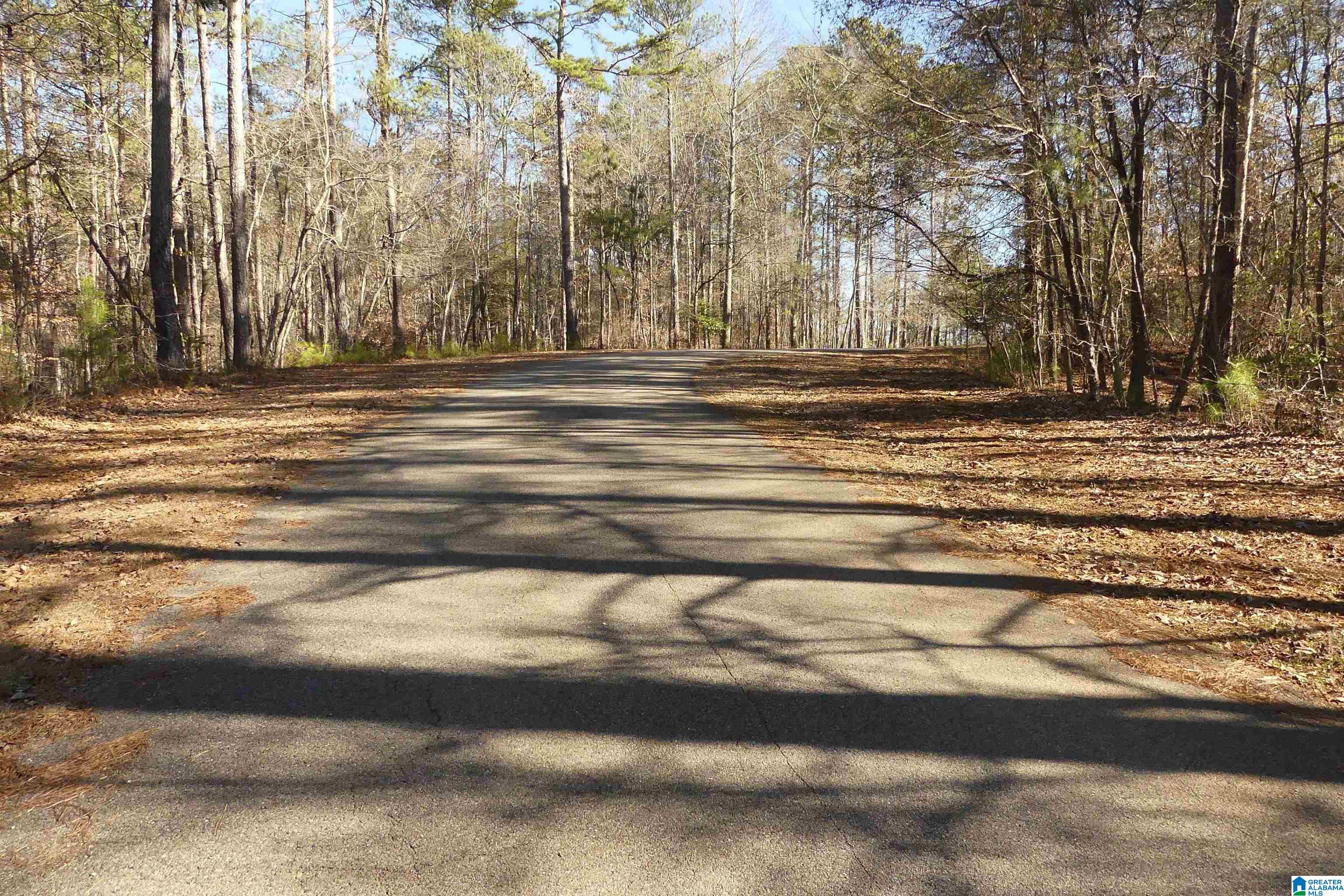 Lot 67 Blue Bird Drive Property Photo 4
