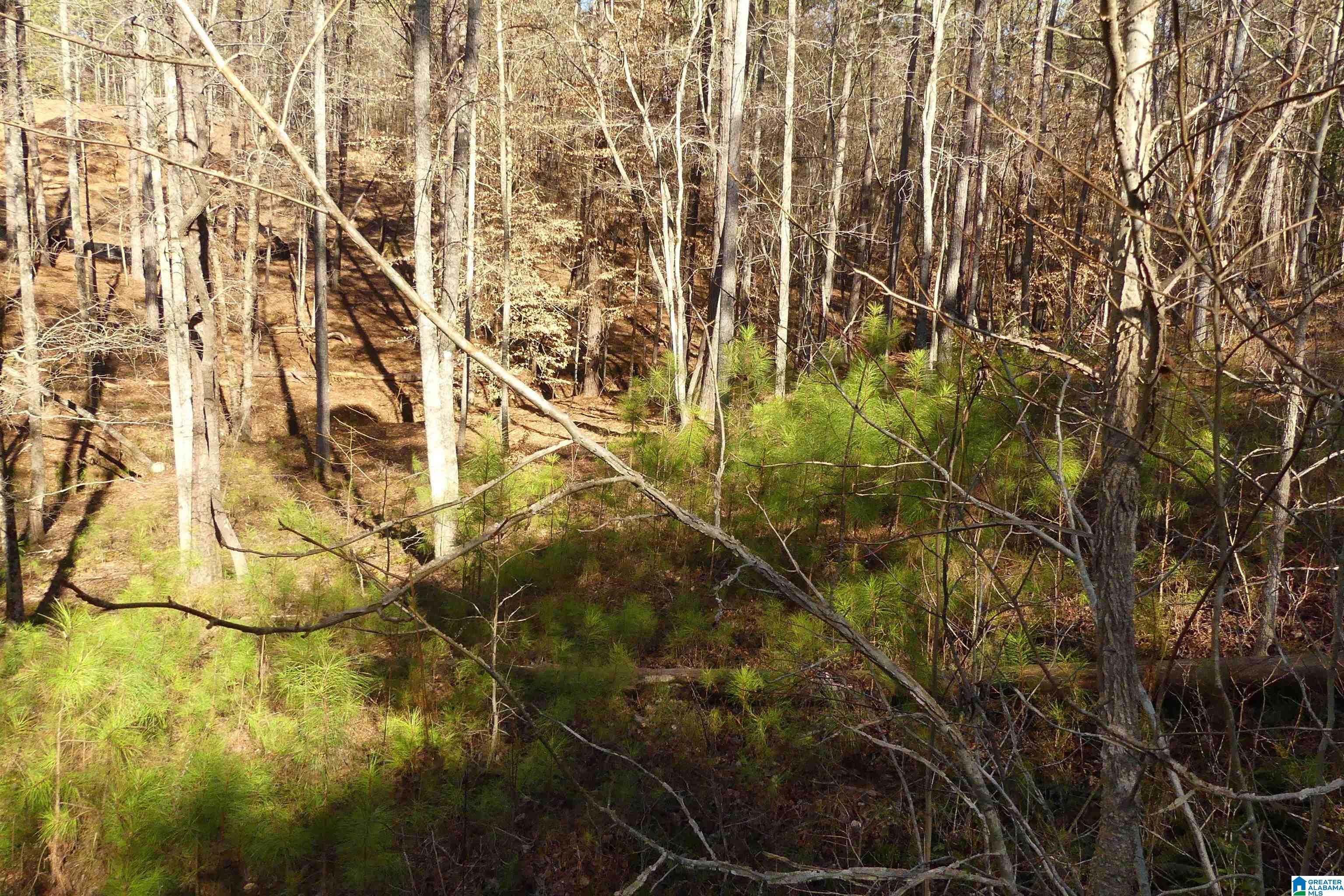 Lot 67 Blue Bird Drive Property Photo 6