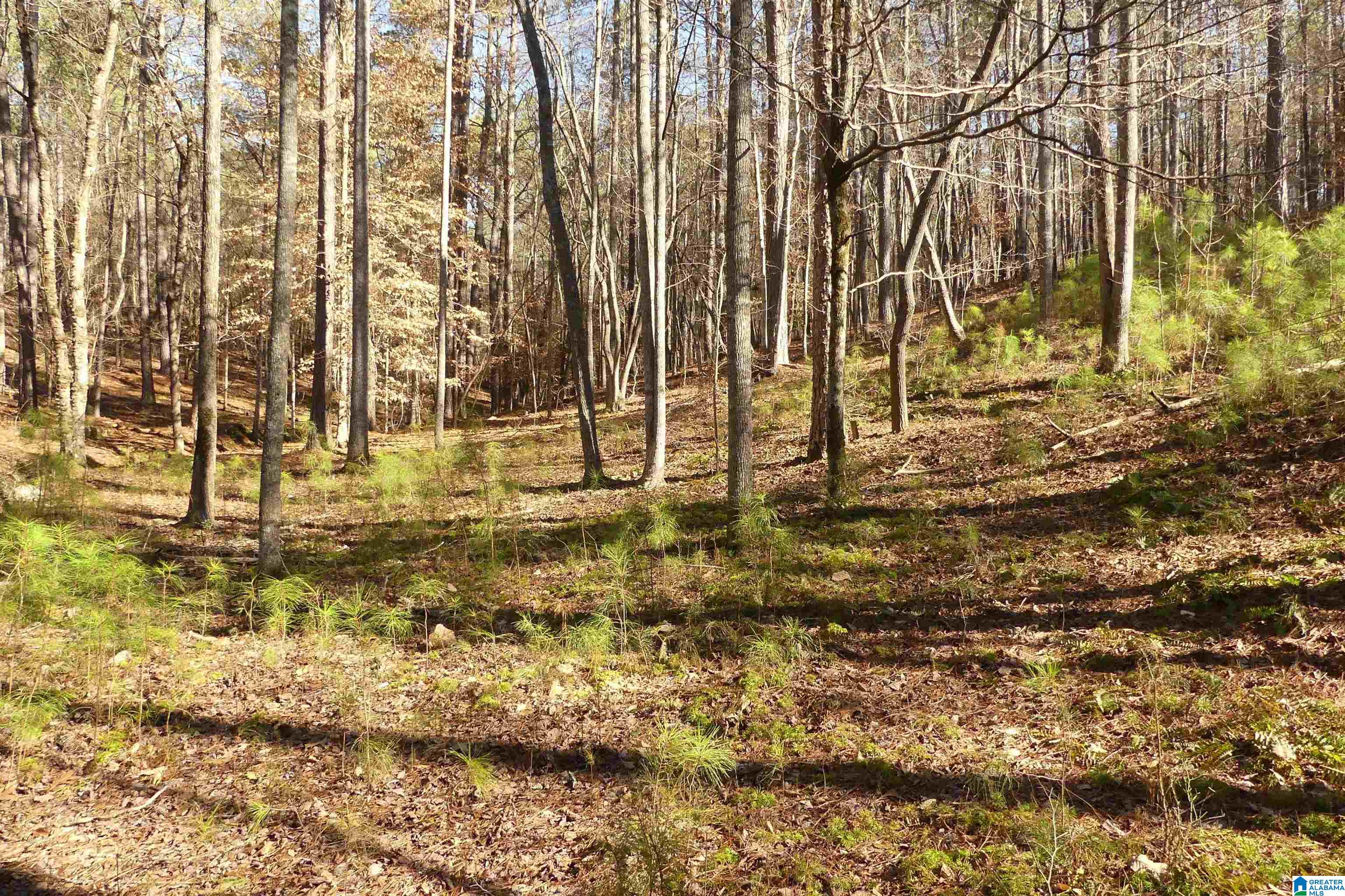 Lot 67 Blue Bird Drive Property Photo 7