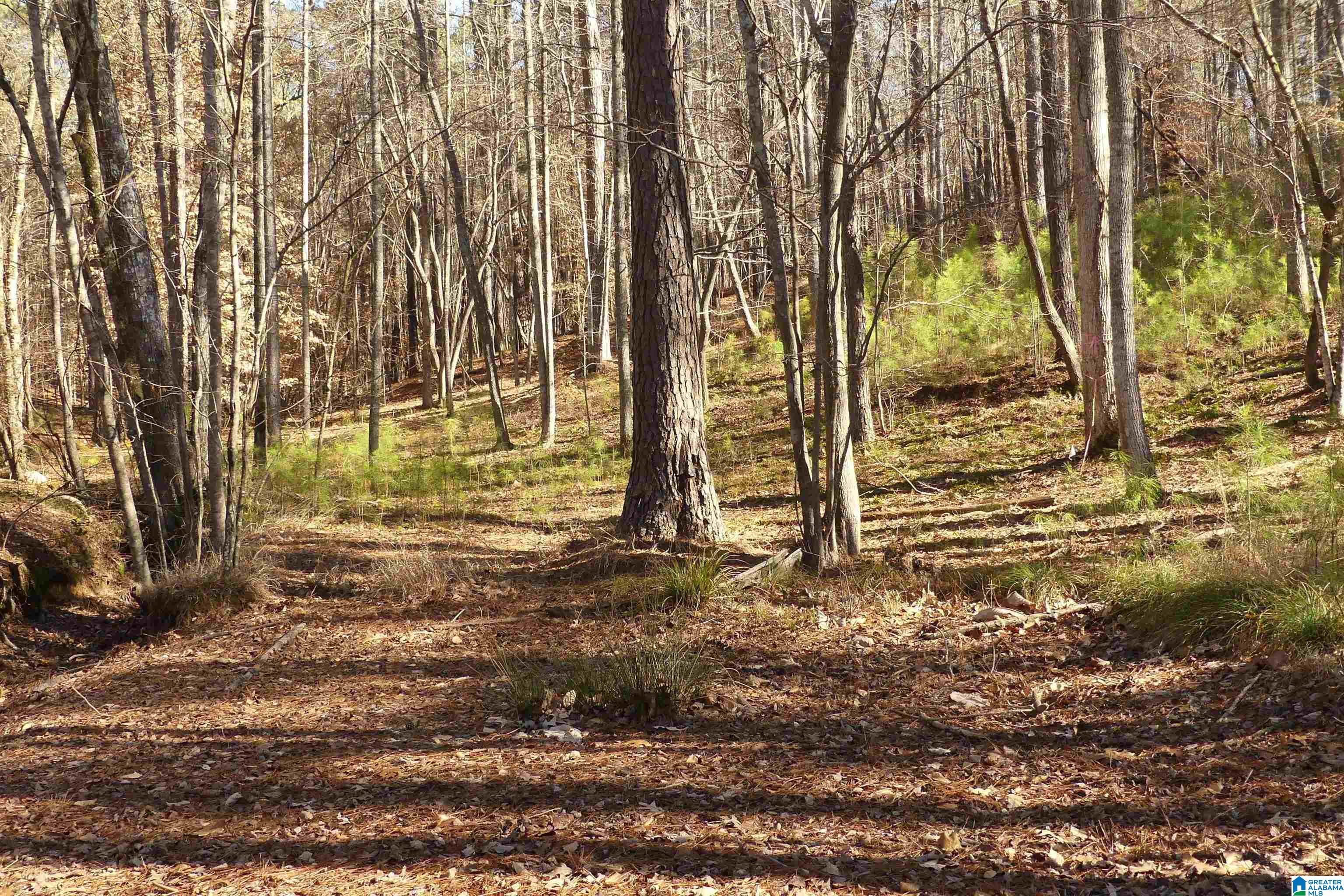 Lot 67 Blue Bird Drive Property Photo 8