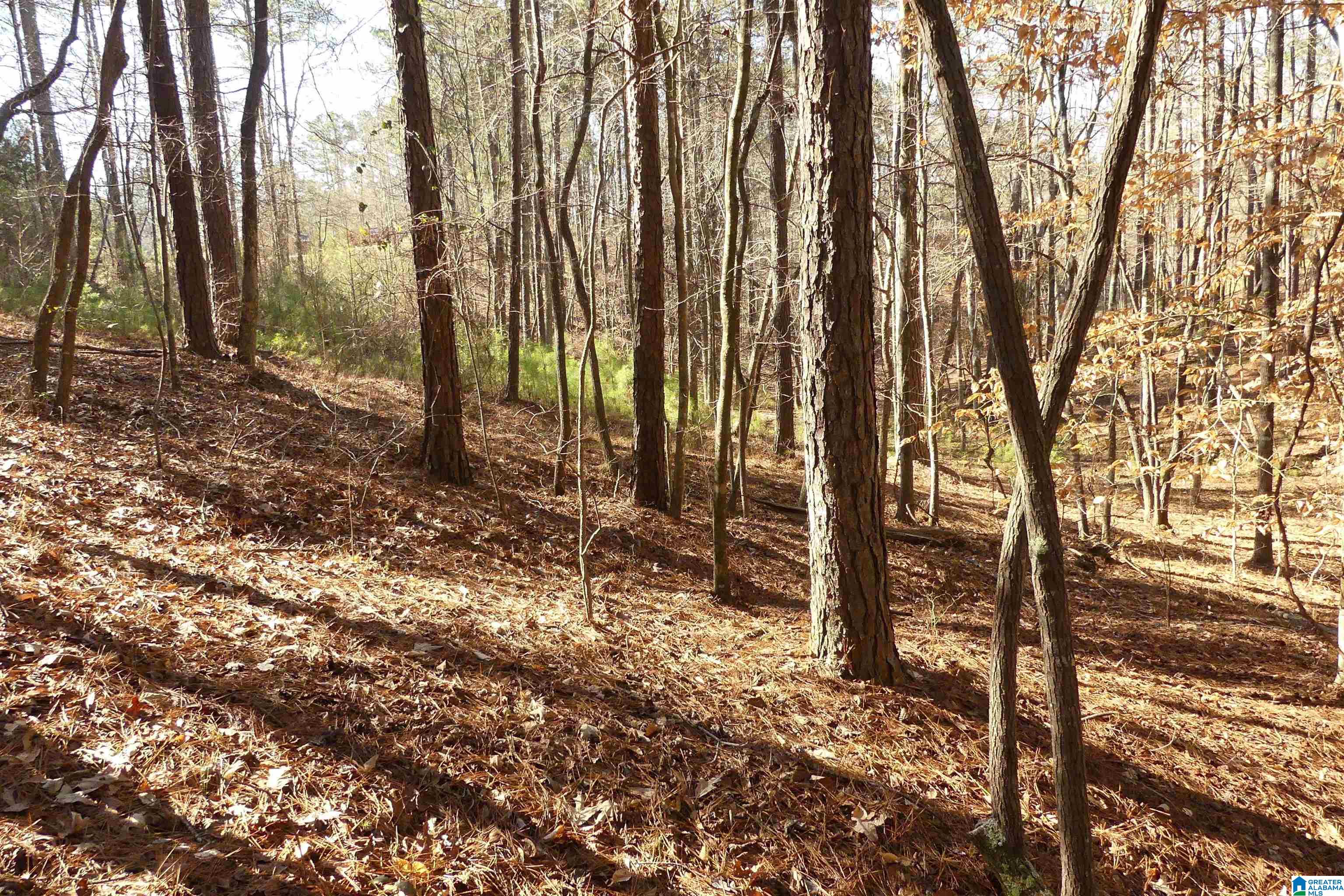 Lot 67 Blue Bird Drive Property Photo 9