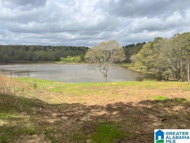 Watershed Road Property Photo 3