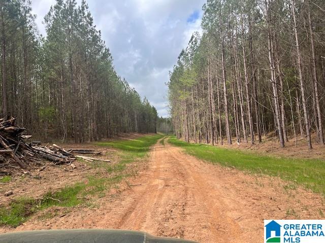 Watershed Road Property Photo 4