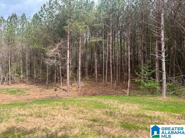 Watershed Road Property Photo 6