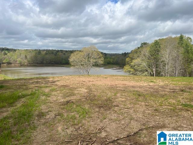 Watershed Road Property Photo 9