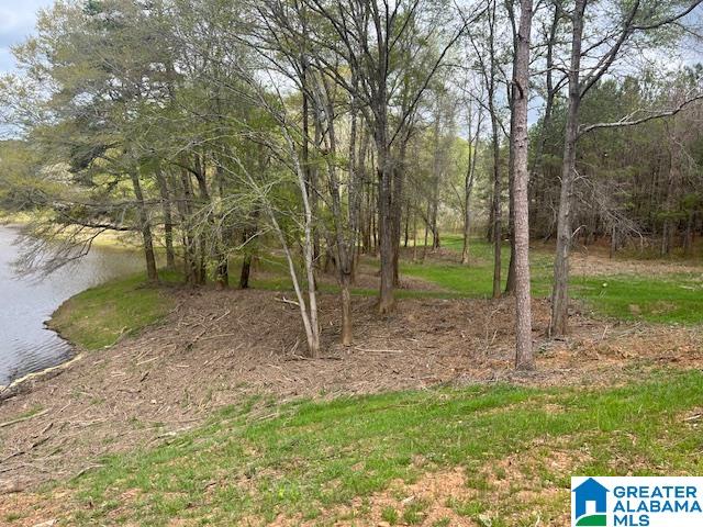 Watershed Road Property Photo 10