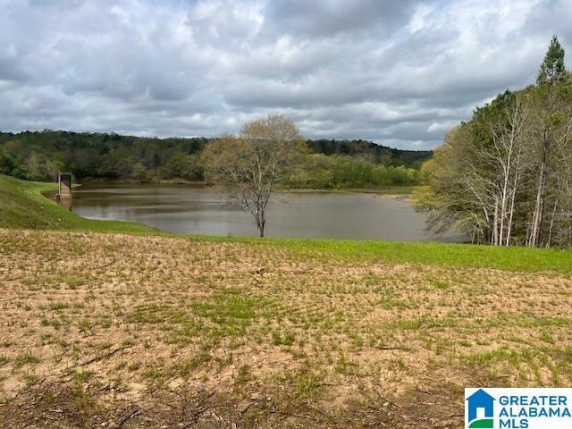 Watershed Road Property Photo 11