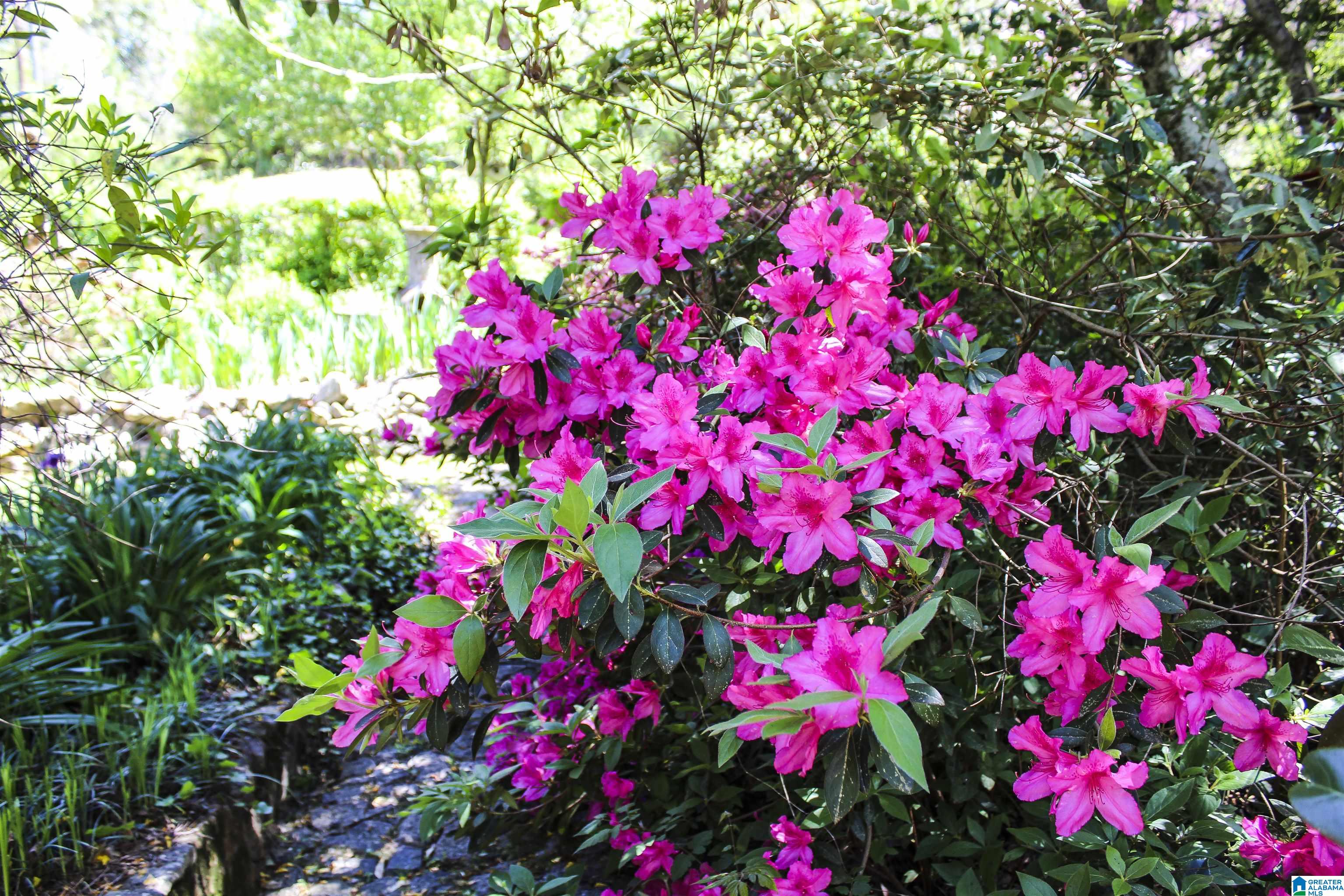 33 Sunset Drive Property Photo 26