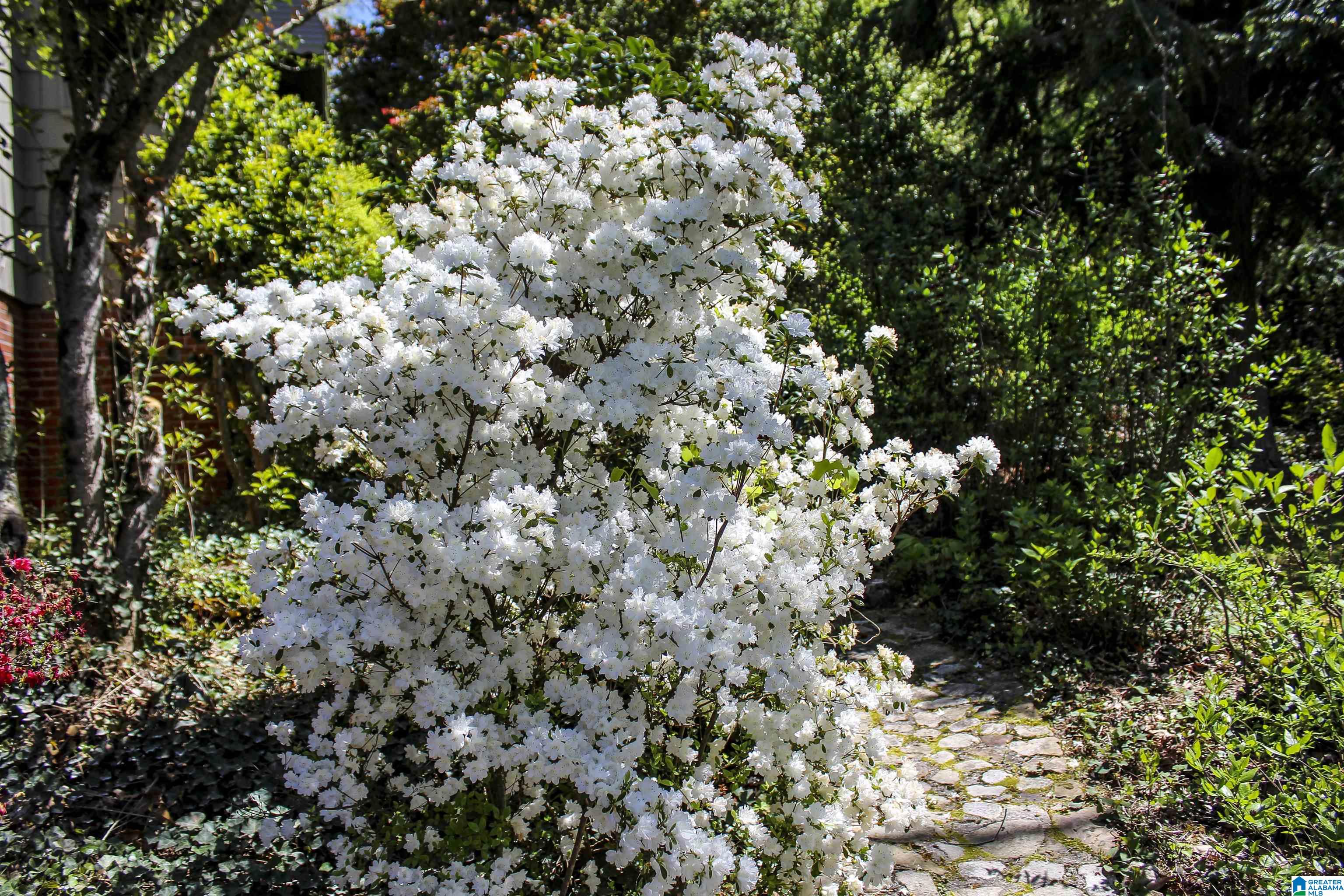 33 Sunset Drive Property Photo 59