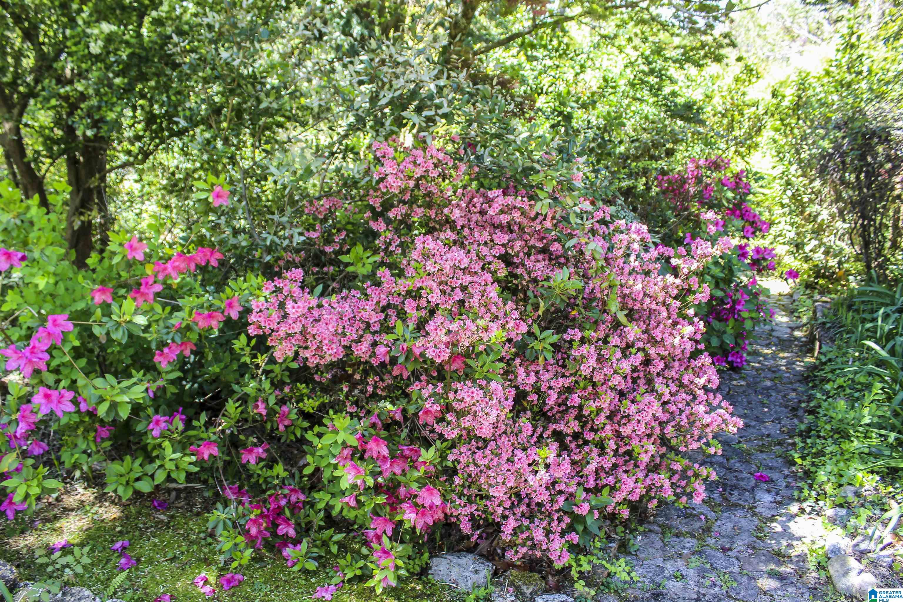 33 Sunset Drive Property Photo 64