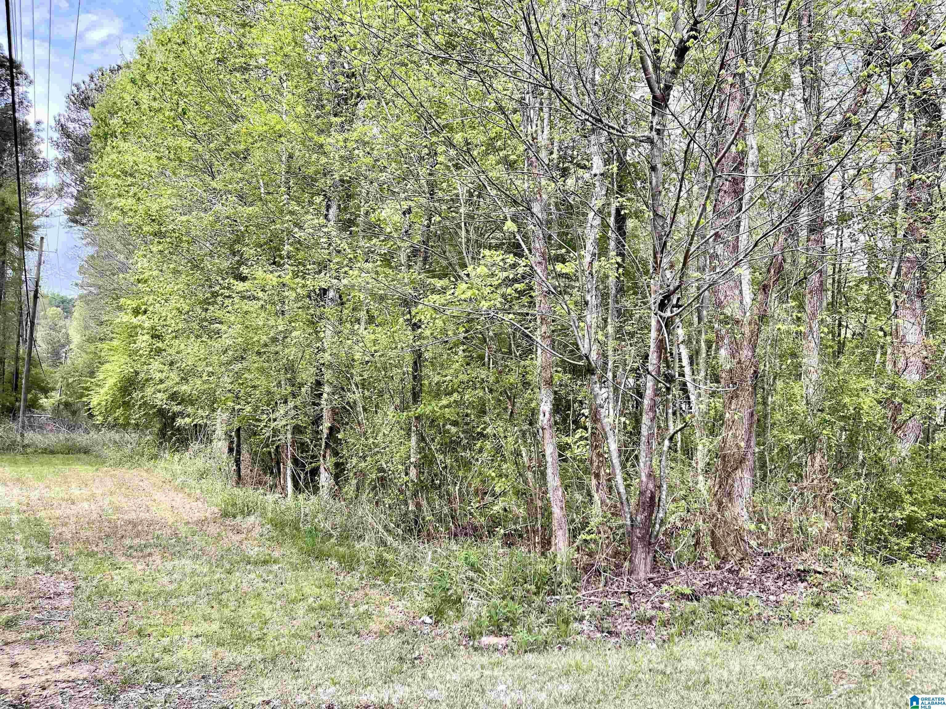 31 Brakefield Lane Property Photo 28