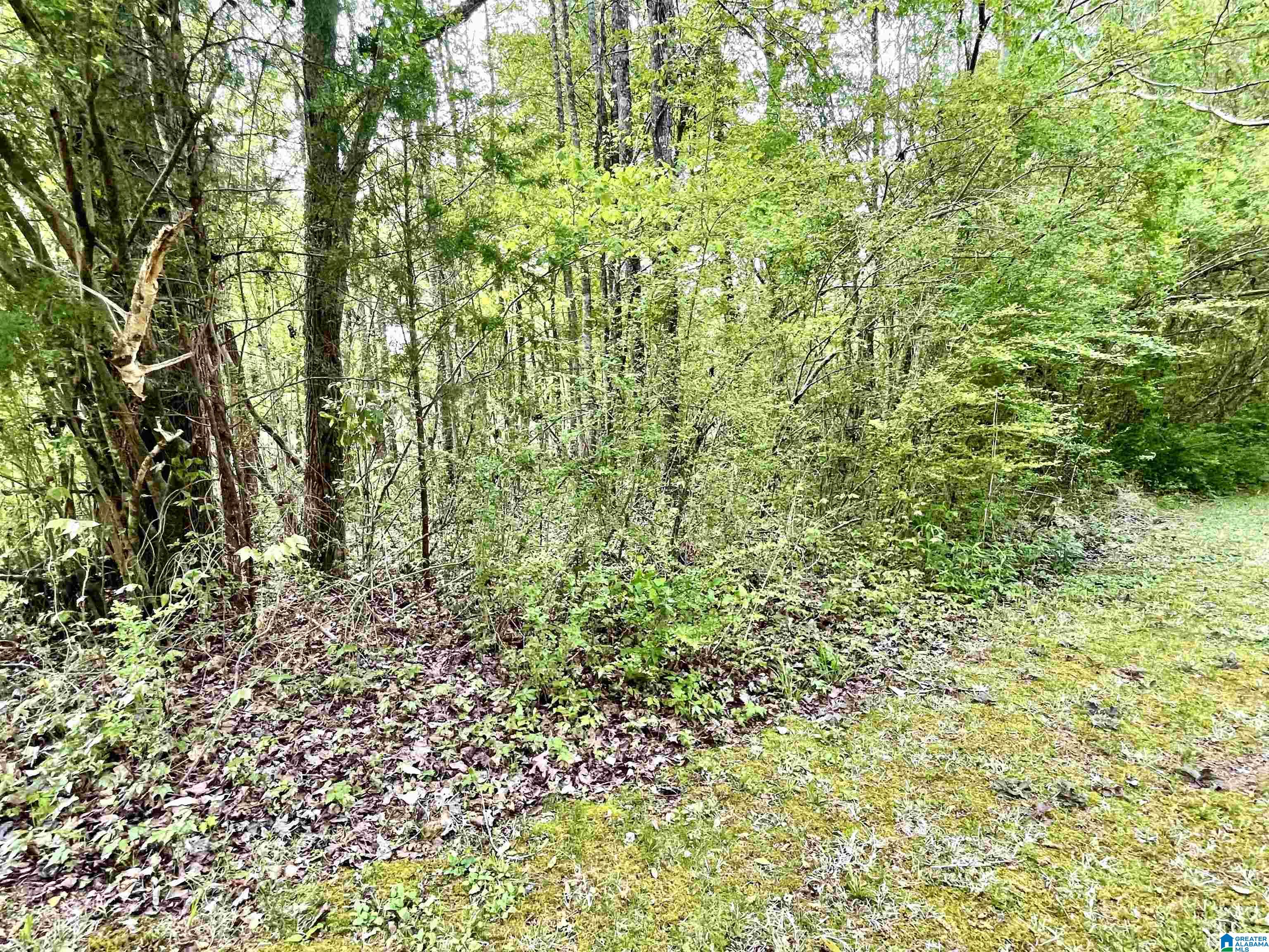 31 Brakefield Lane Property Photo 32