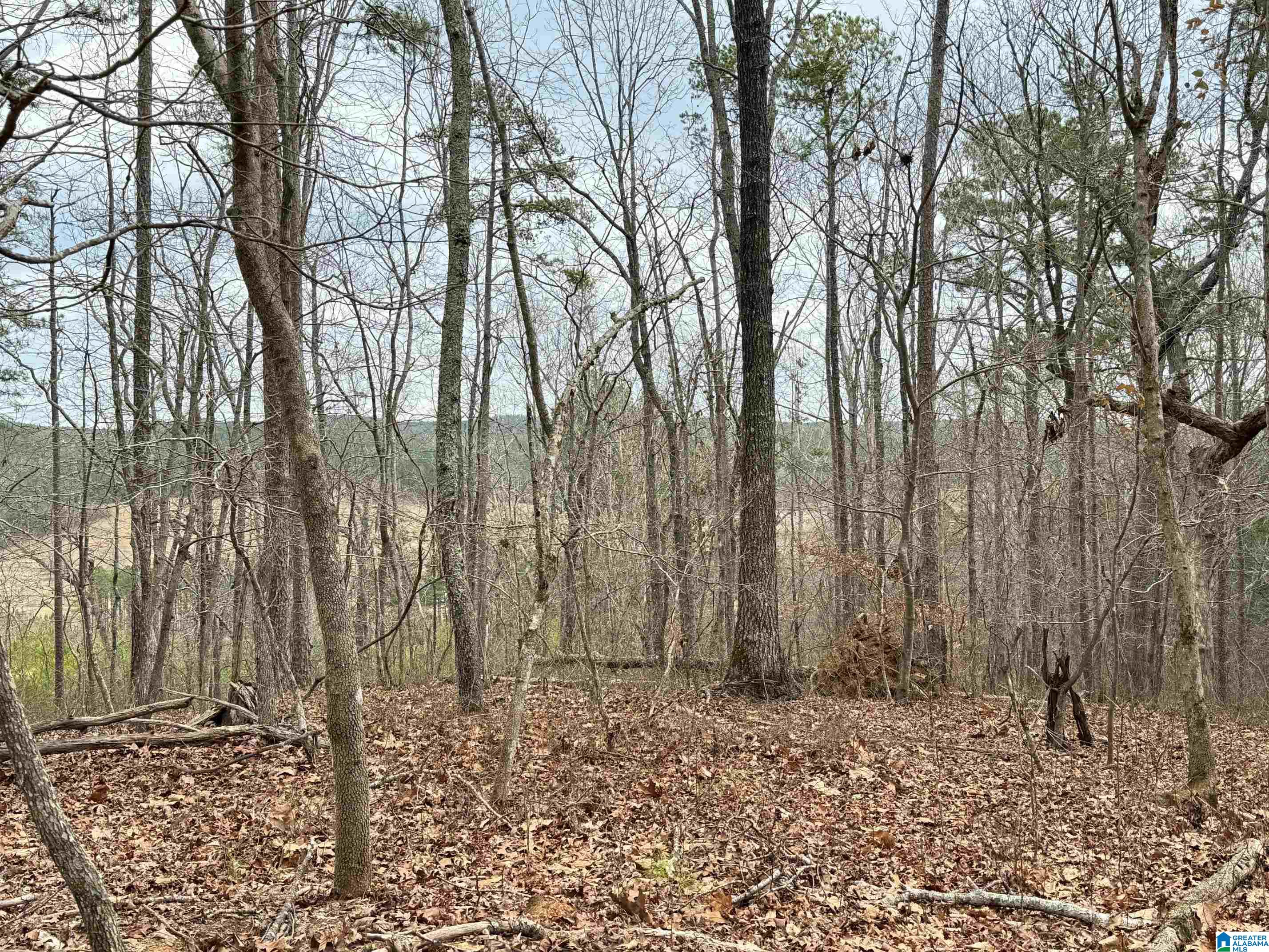 0 County Road 18 Property Photo 6