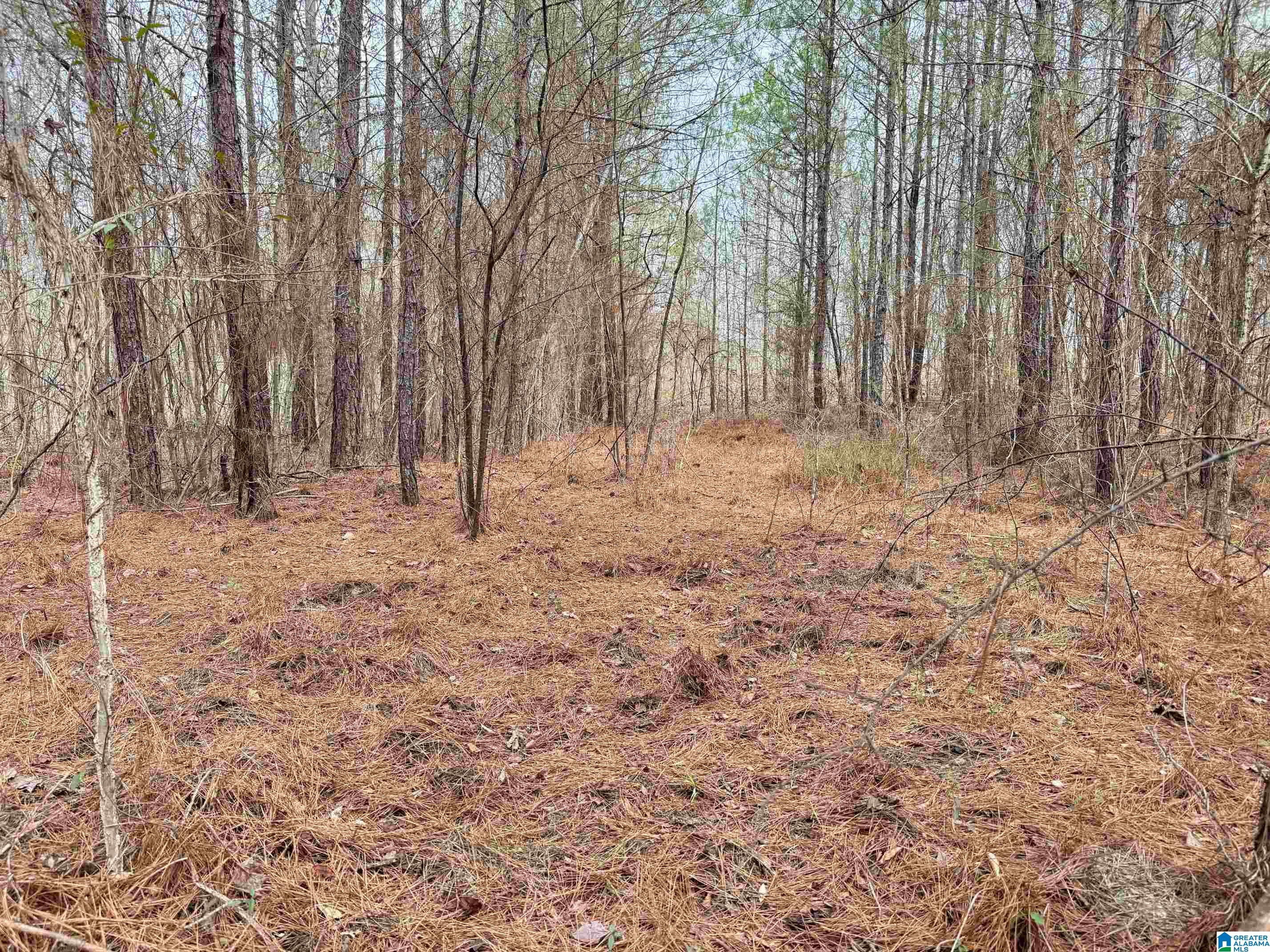 0 County Road 18 Property Photo 7