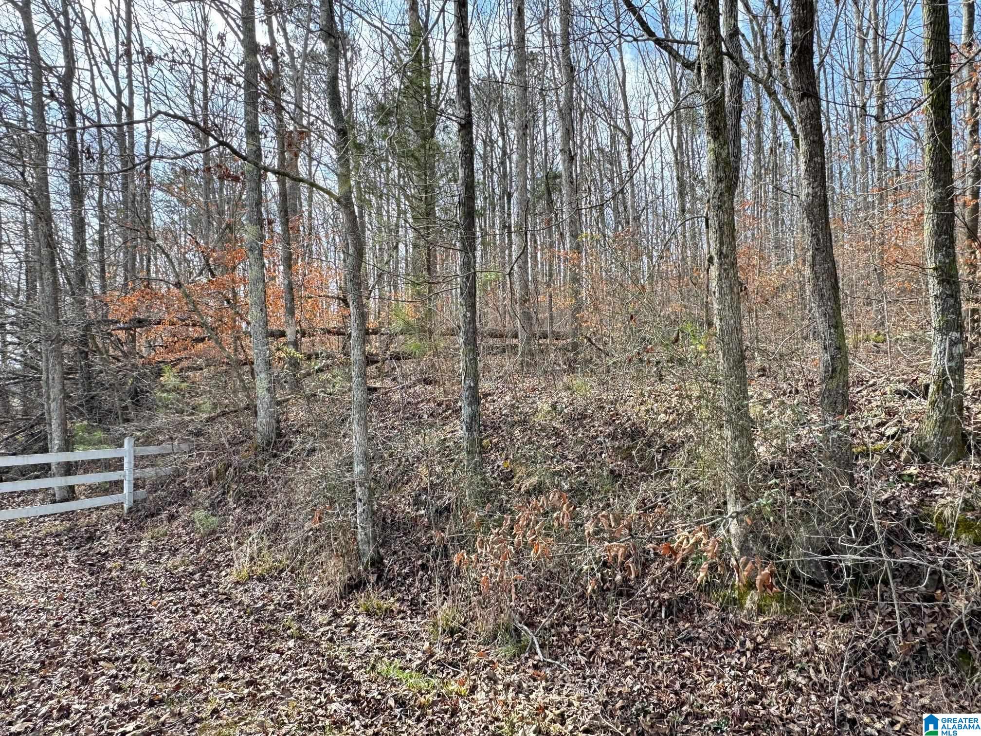 0 County Road 18 Property Photo 8