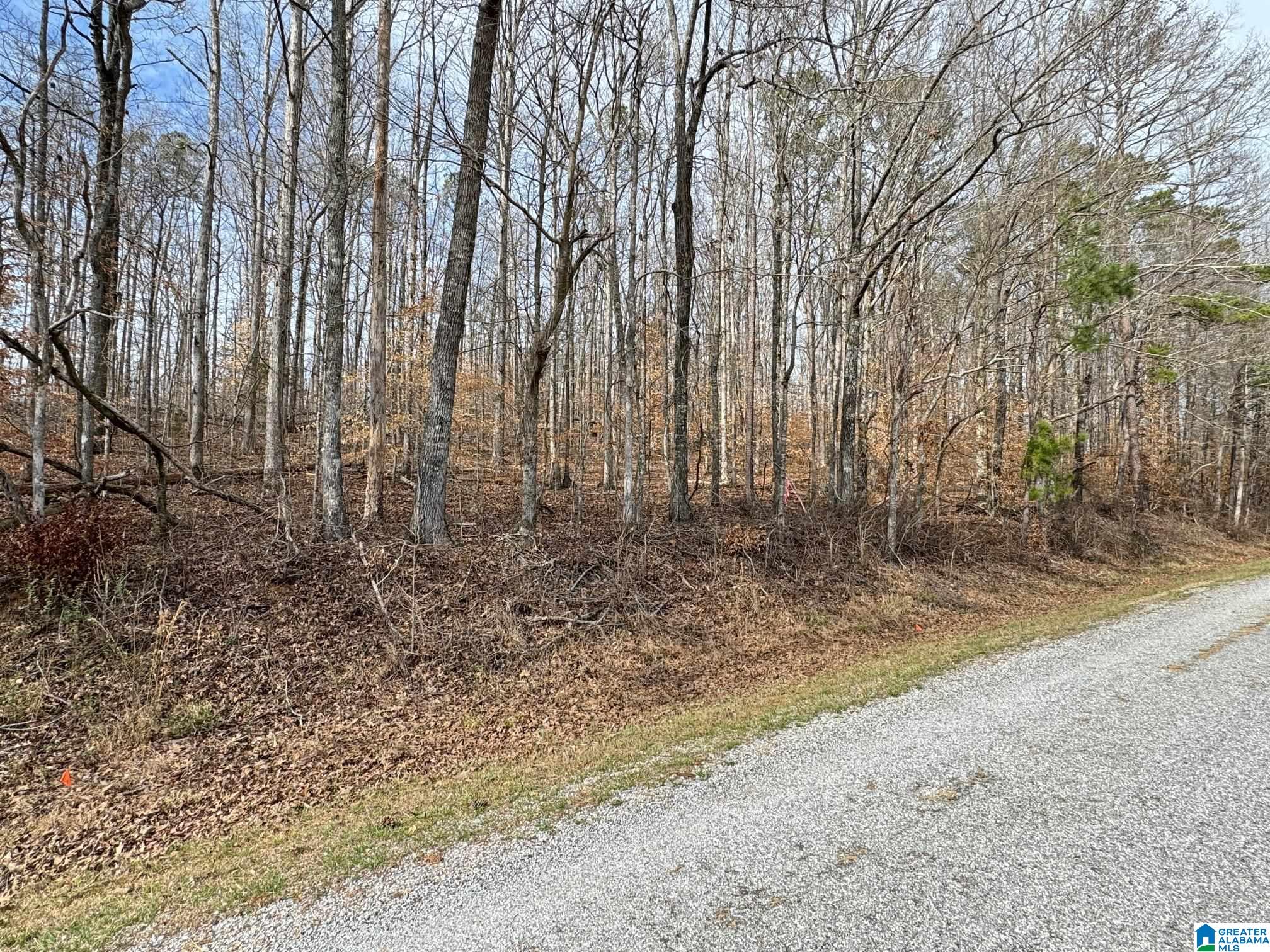 0 County Road 18 Property Photo 9