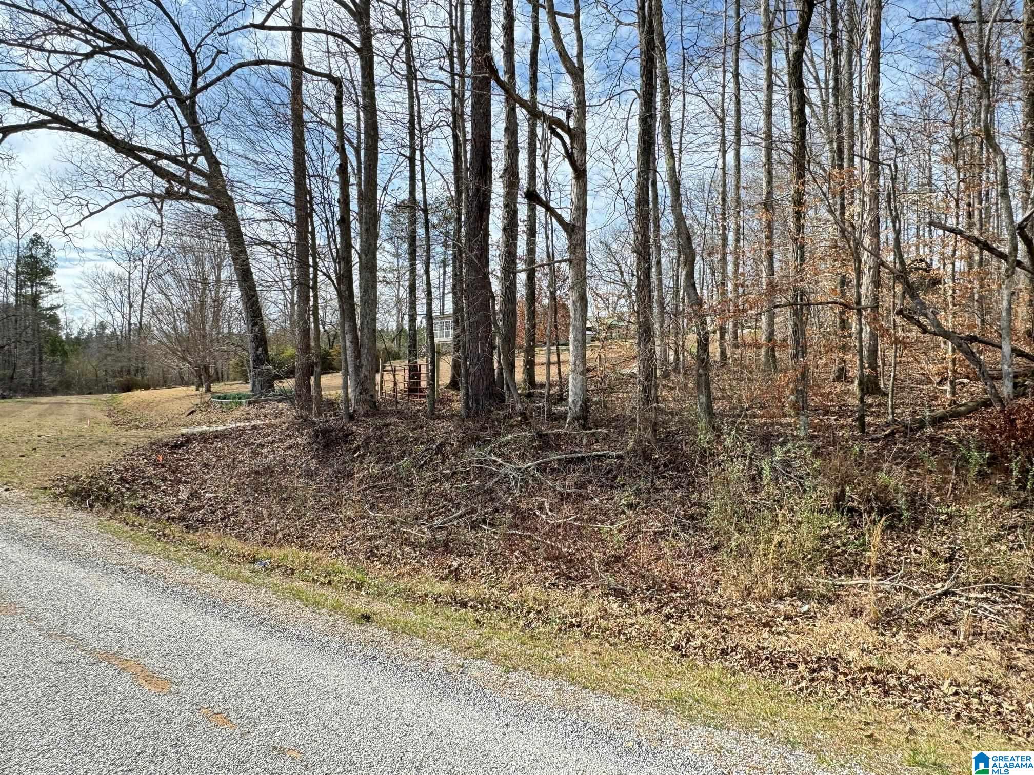 0 County Road 18 Property Photo 10