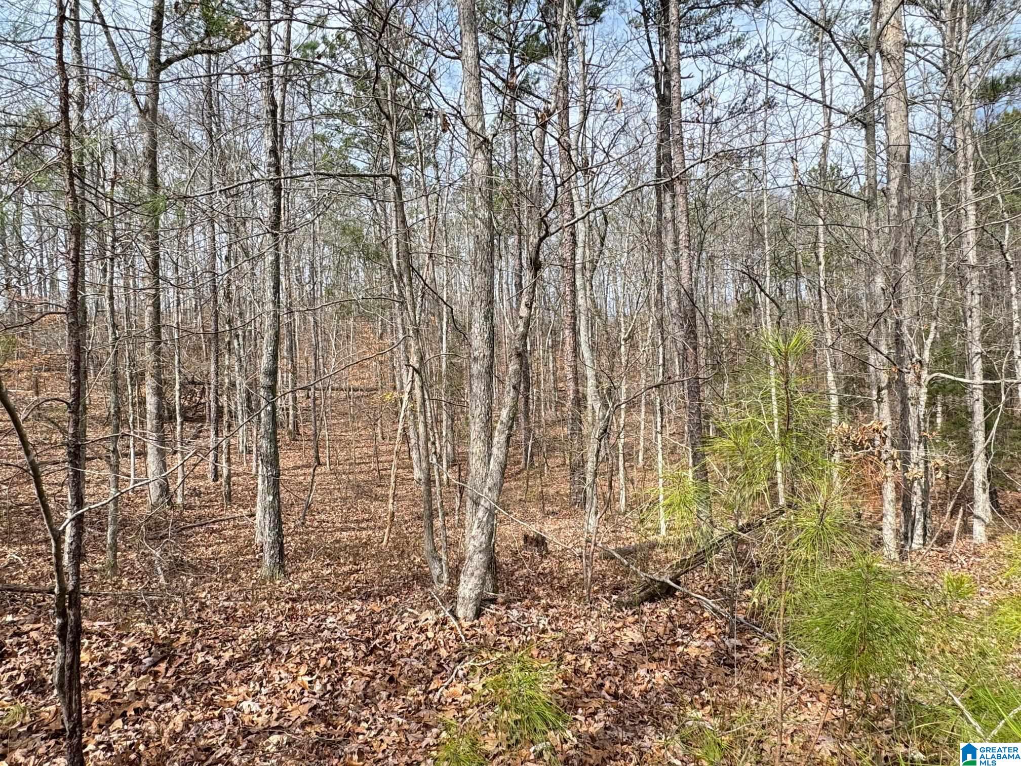 0 County Road 18 Property Photo 12