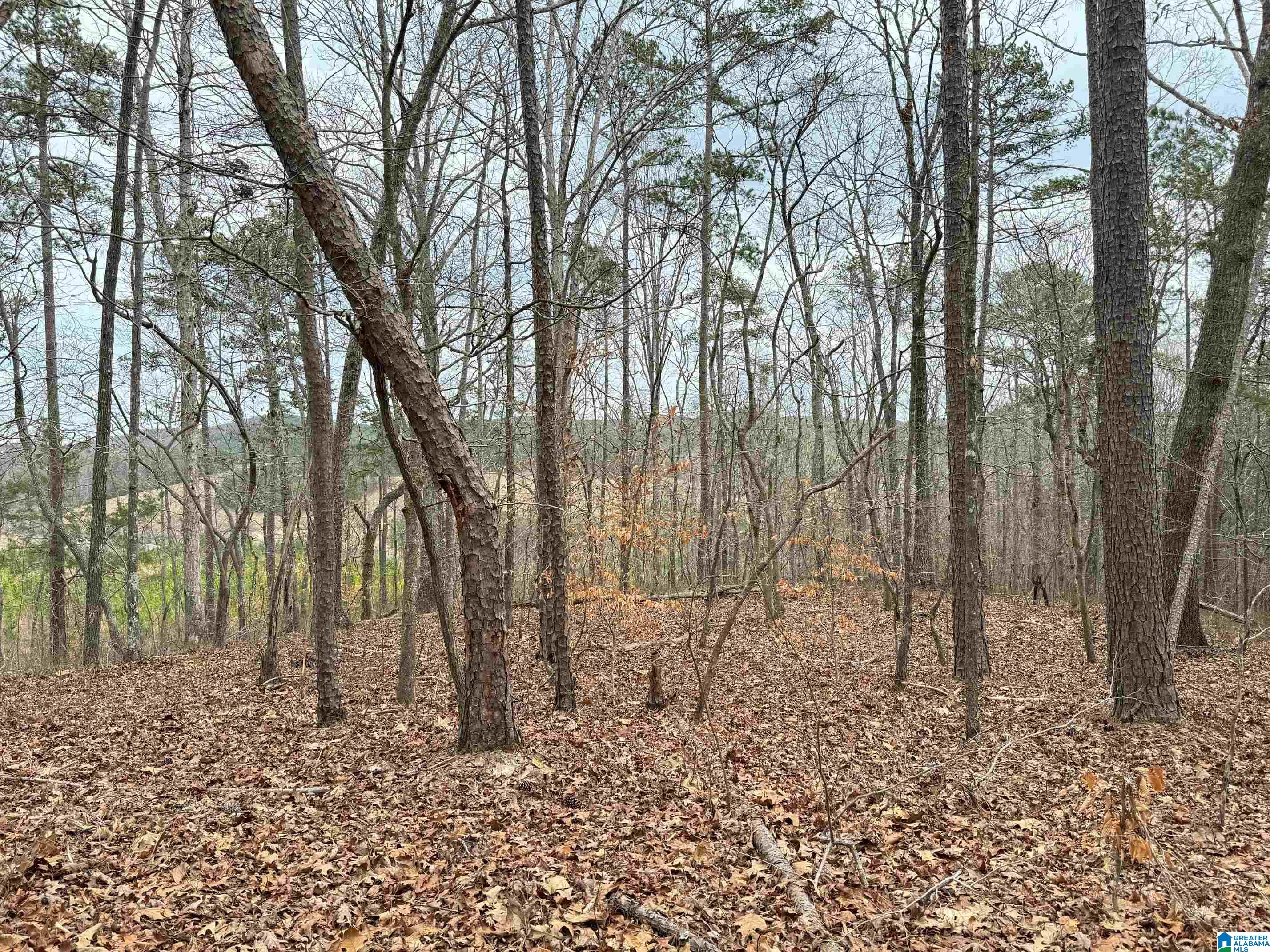 0 County Road 18 Property Photo 20