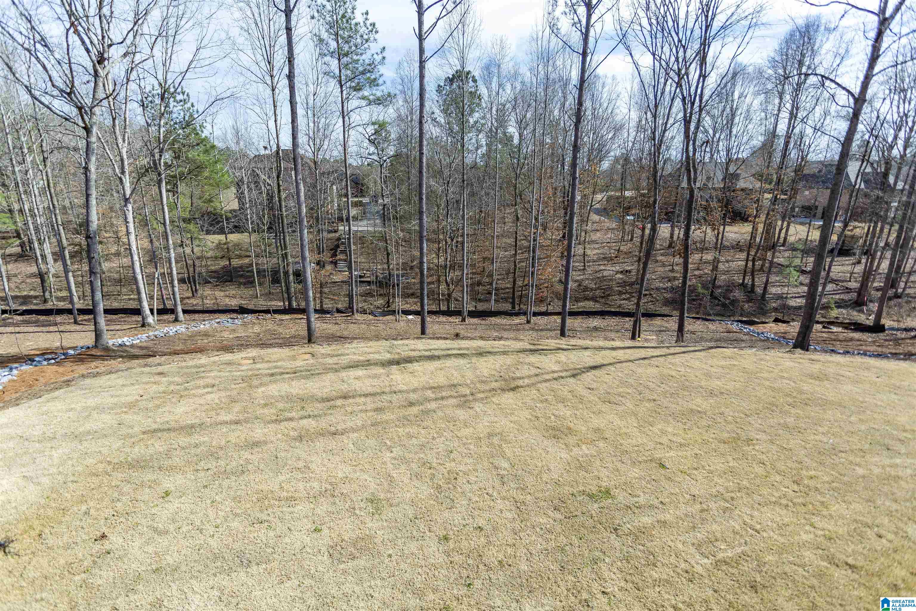 585 White Tail Run Property Photo 6
