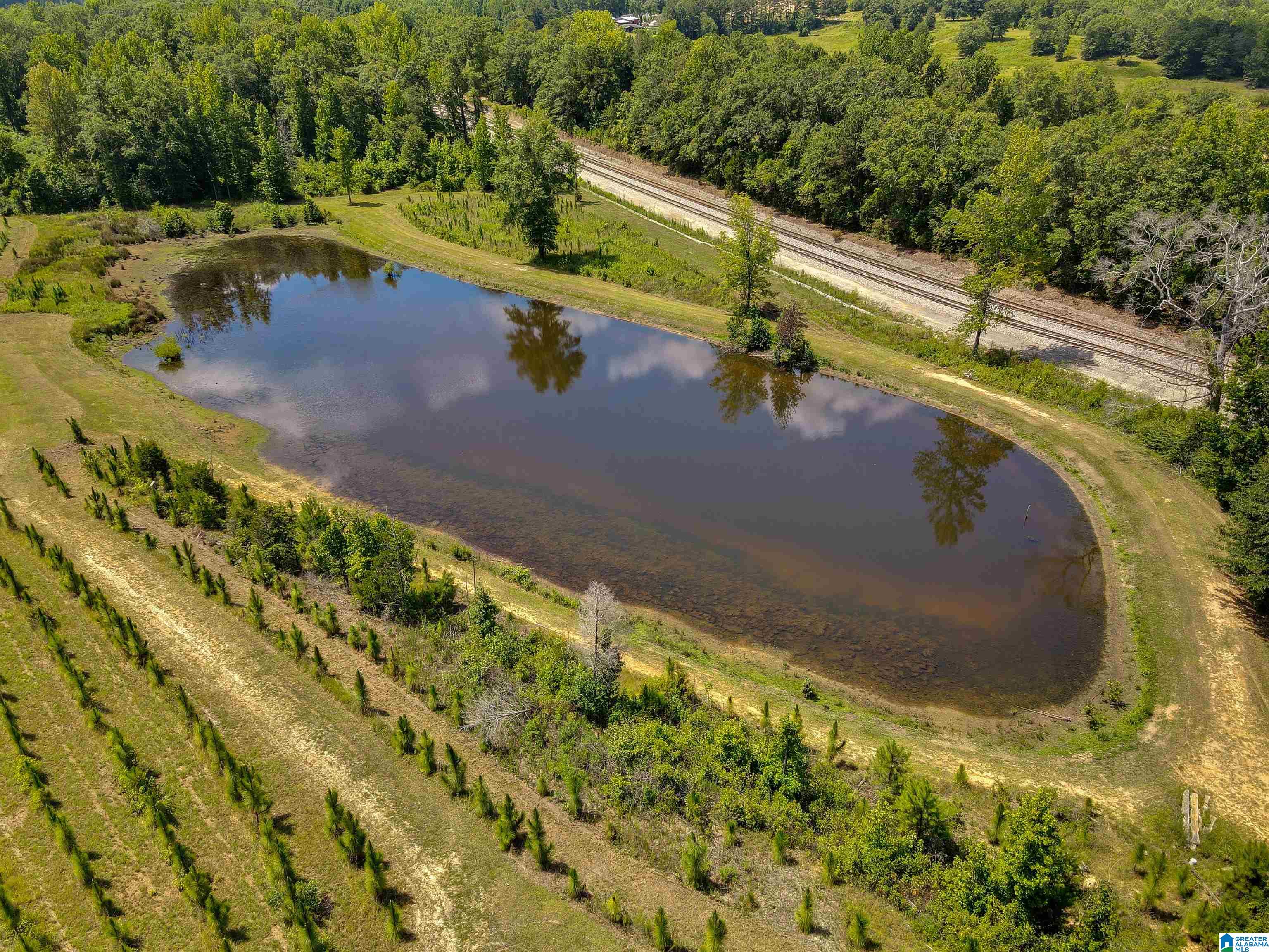 1495 Us Highway 31 Property Photo 3