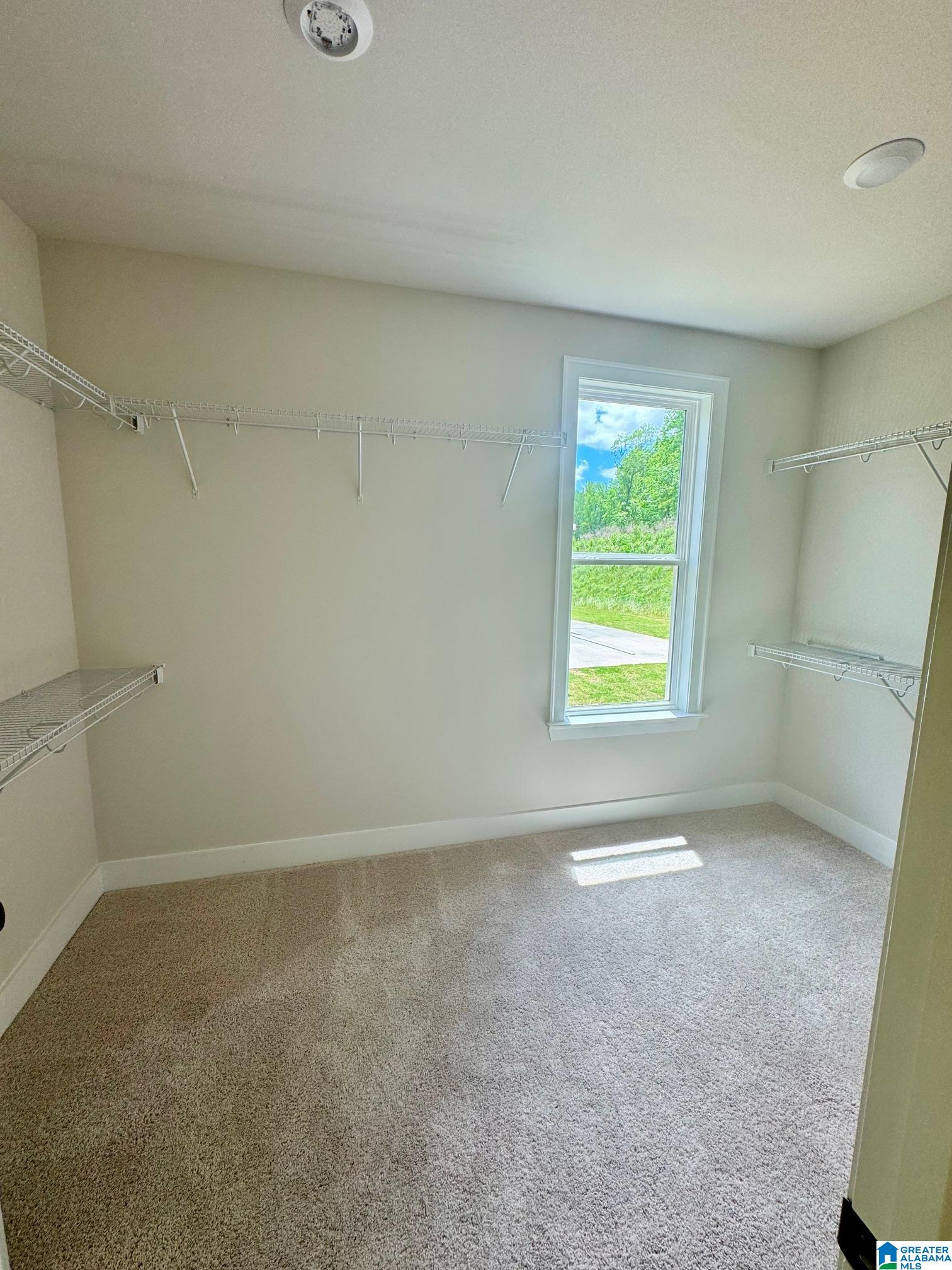 2366 Old Gould Run Property Photo 19