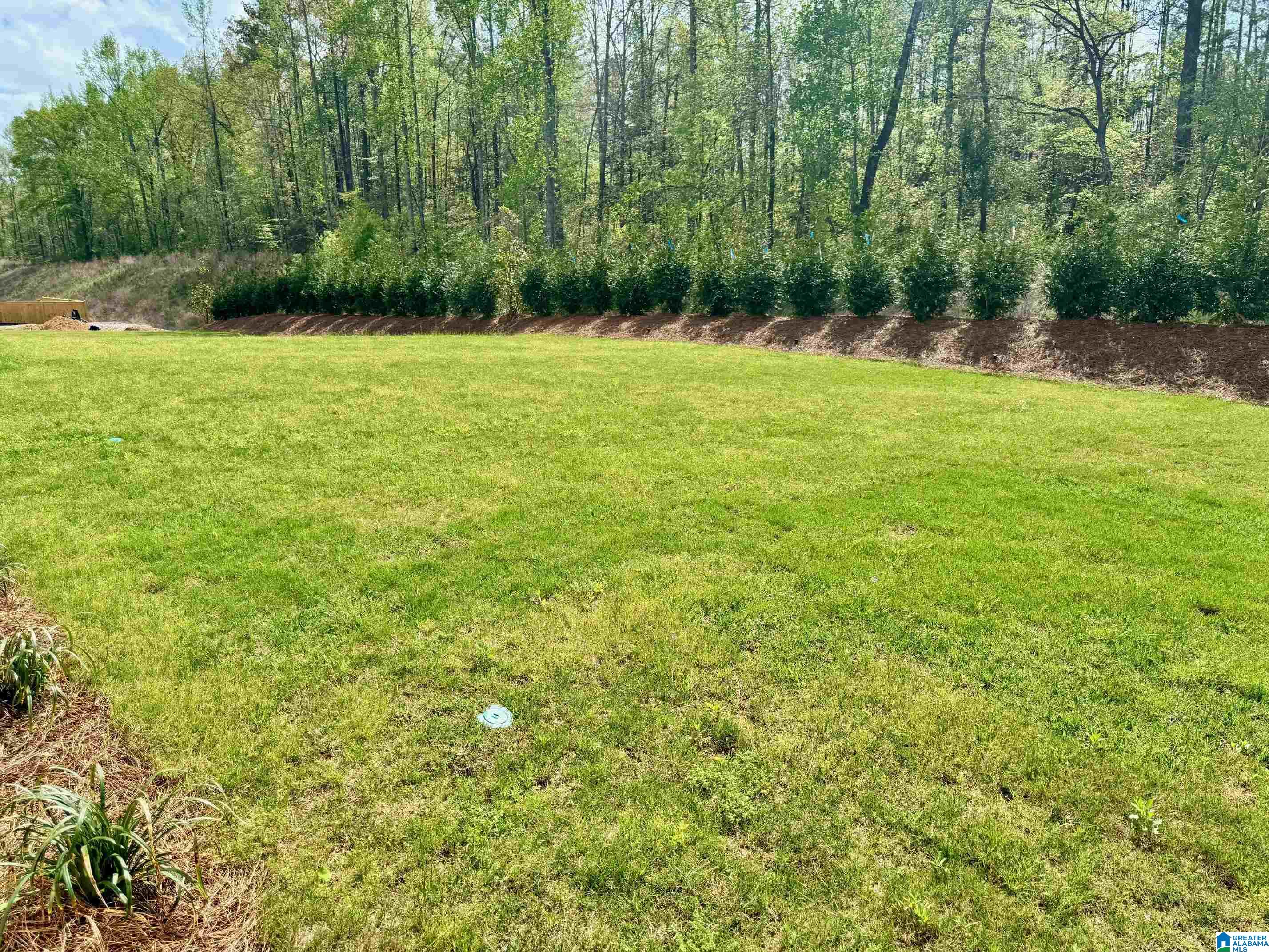 2326 Old Gould Run Property Photo 26
