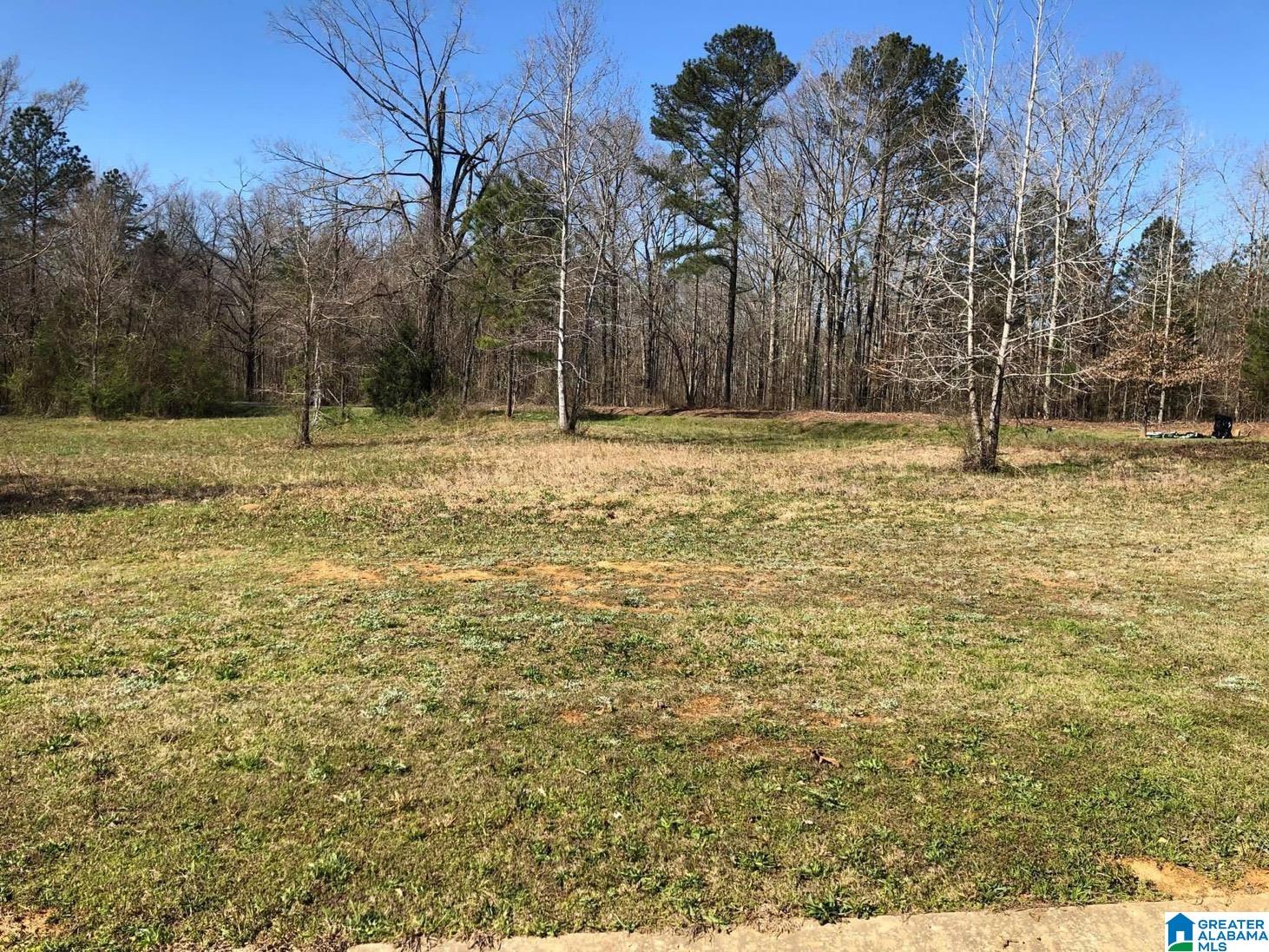 10300 Rising Fawn Circle Property Photo 2