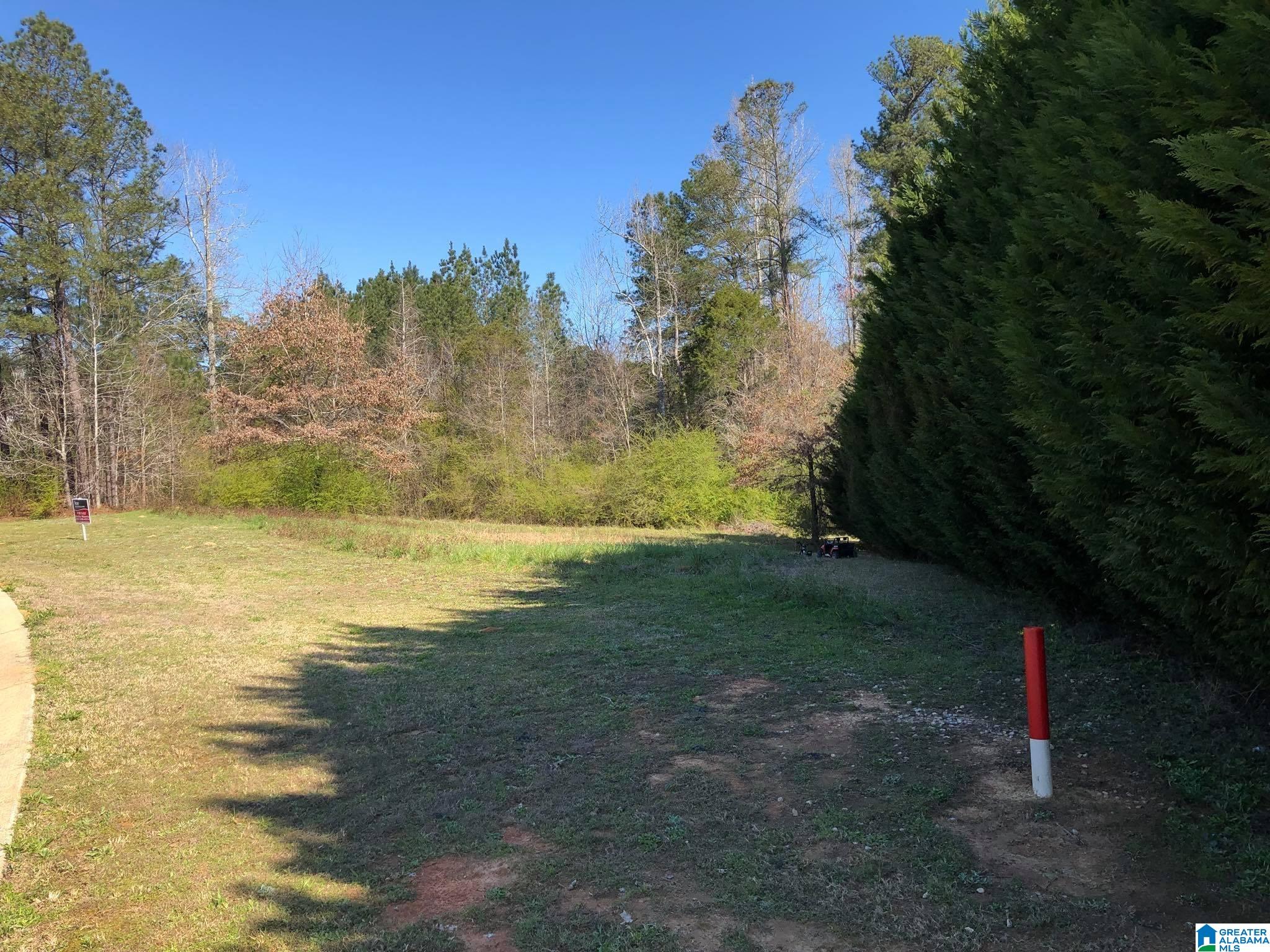10300 Rising Fawn Circle Property Photo 3