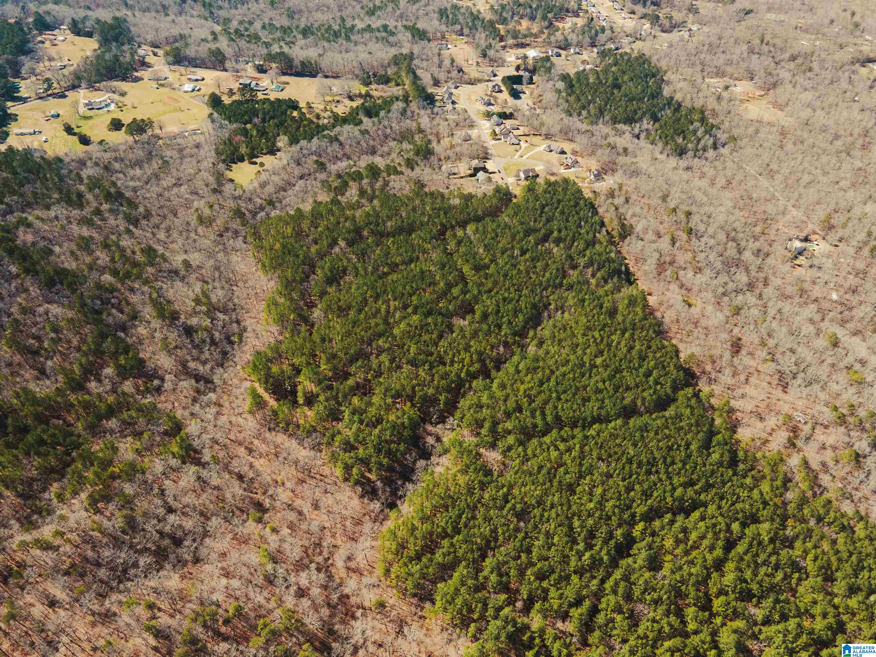 10300 Rising Fawn Circle Property Photo 4
