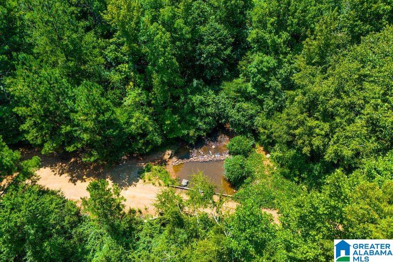 250 Acres County Road 540 Property Photo 6