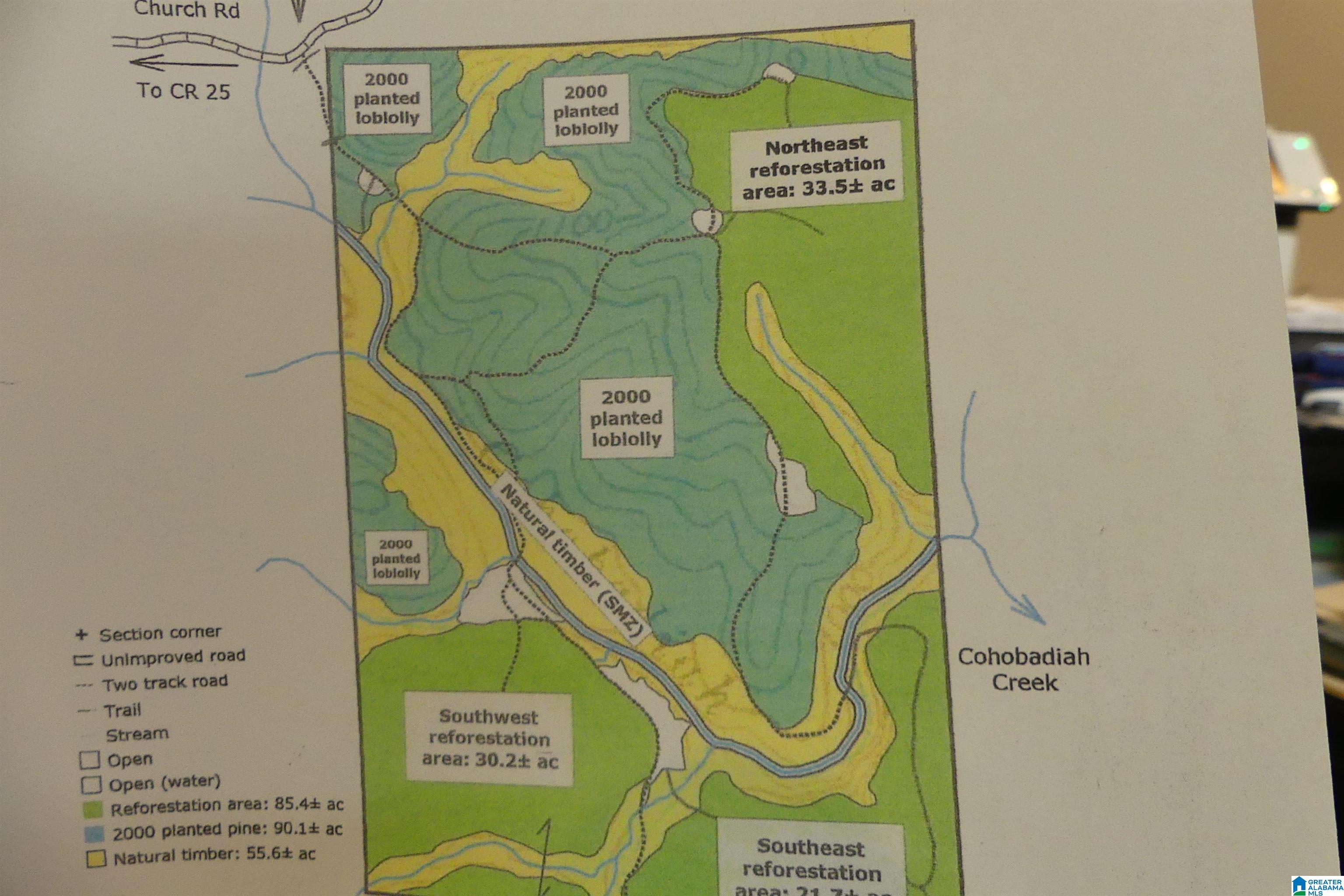 250 Acres County Road 540 Property Photo 9