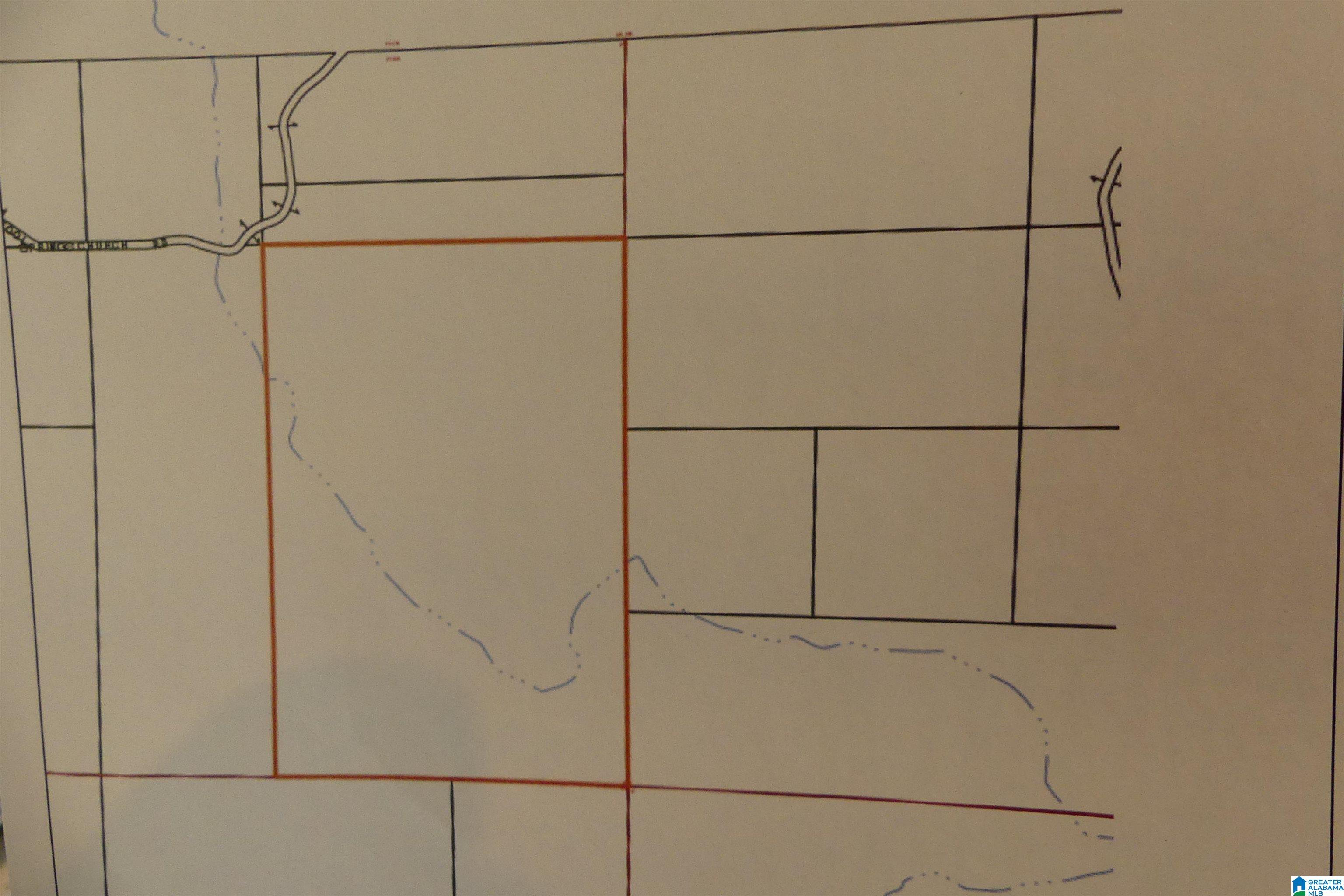 250 Acres County Road 540 Property Photo 10