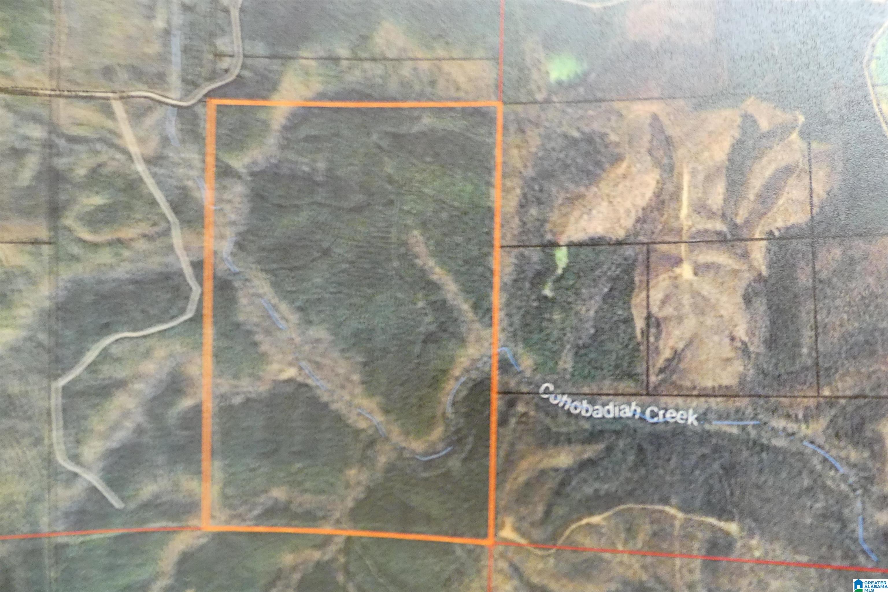 250 Acres County Road 540 Property Photo 11
