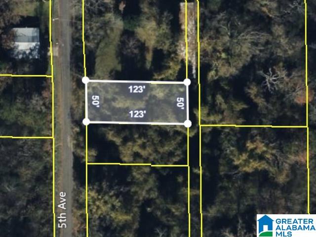 9127 5th Avenue Property Photo 1