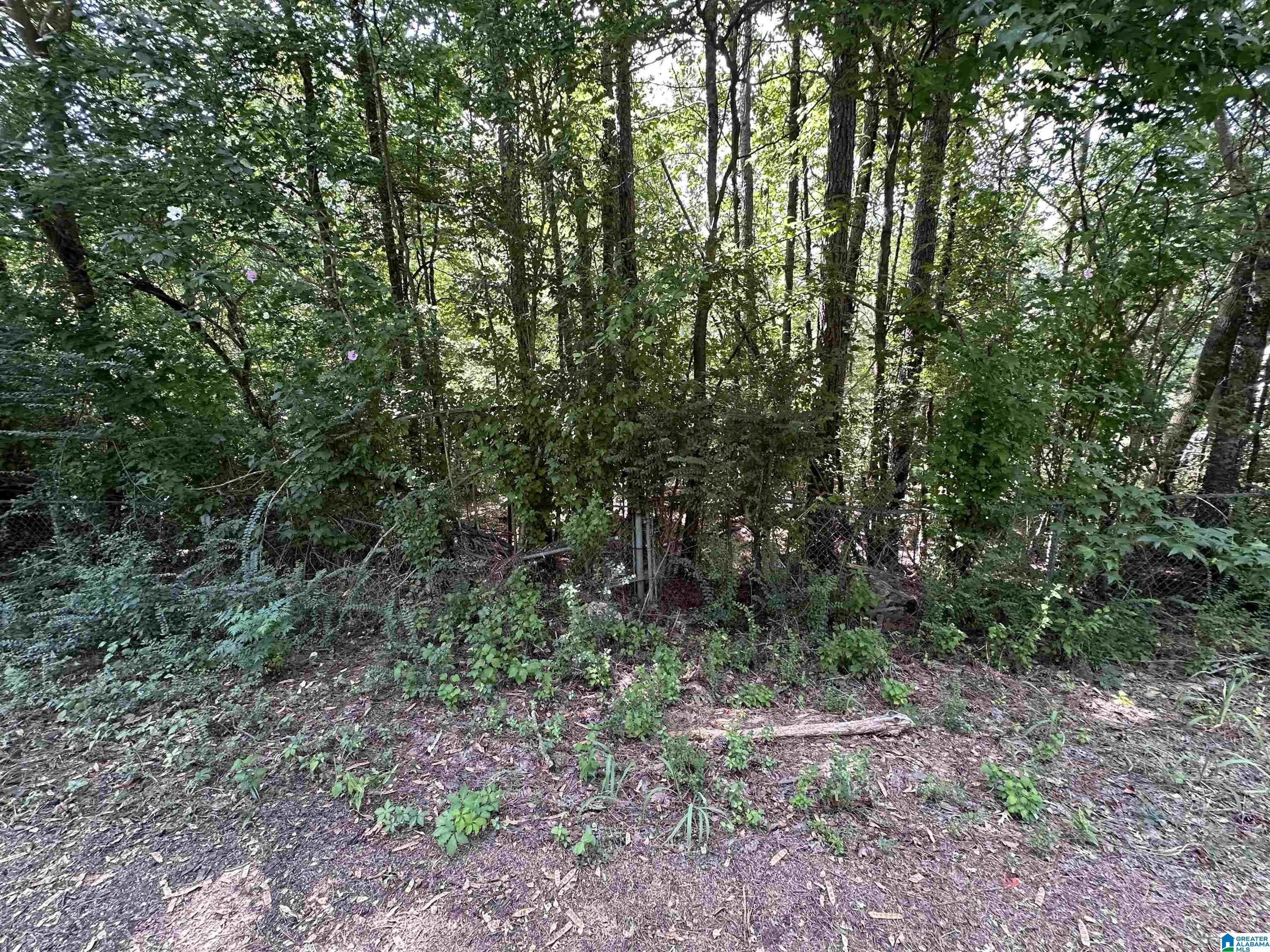 4976 Mountain Road Property Photo 1