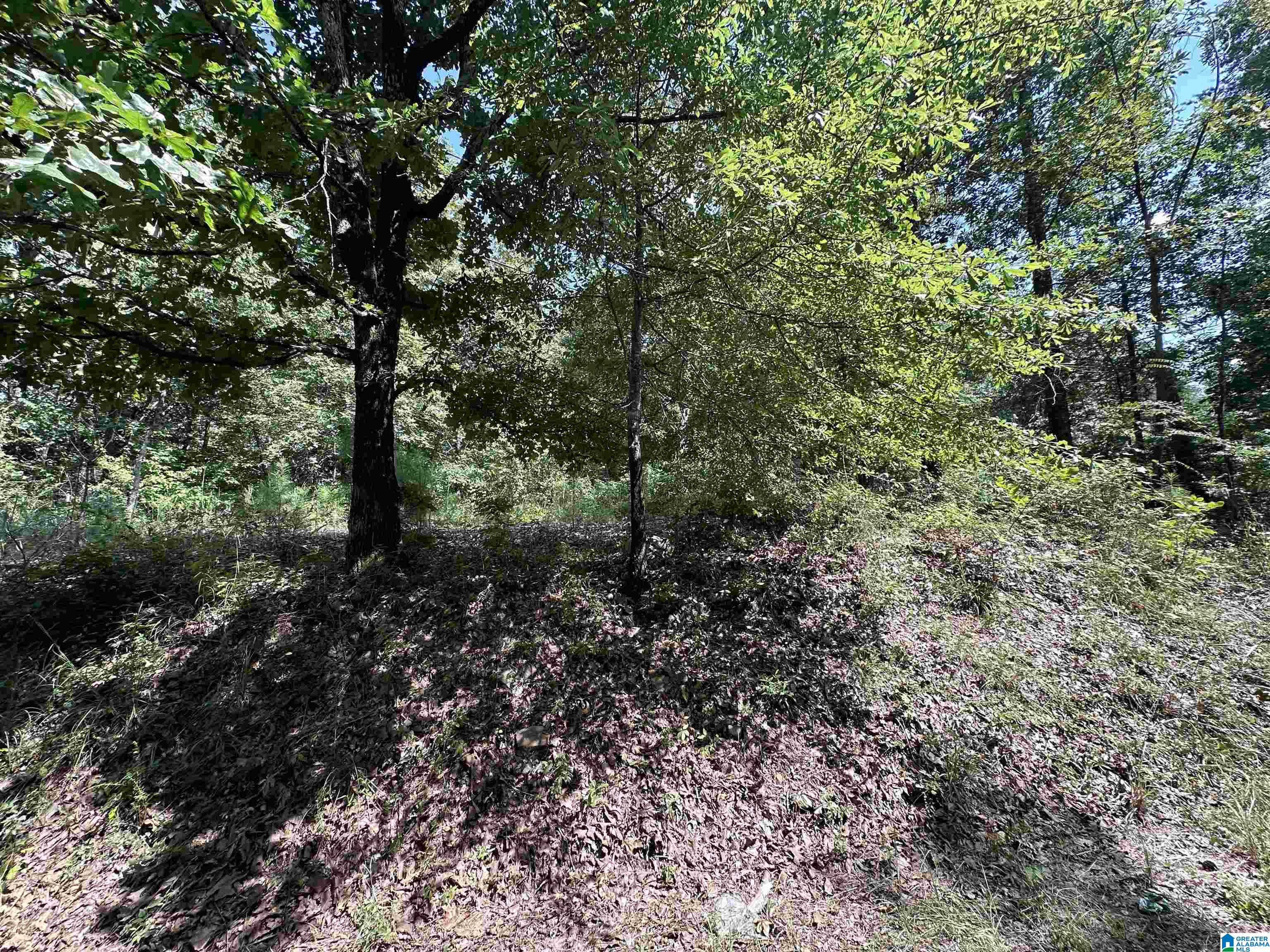 4976 Mountain Road Property Photo 3
