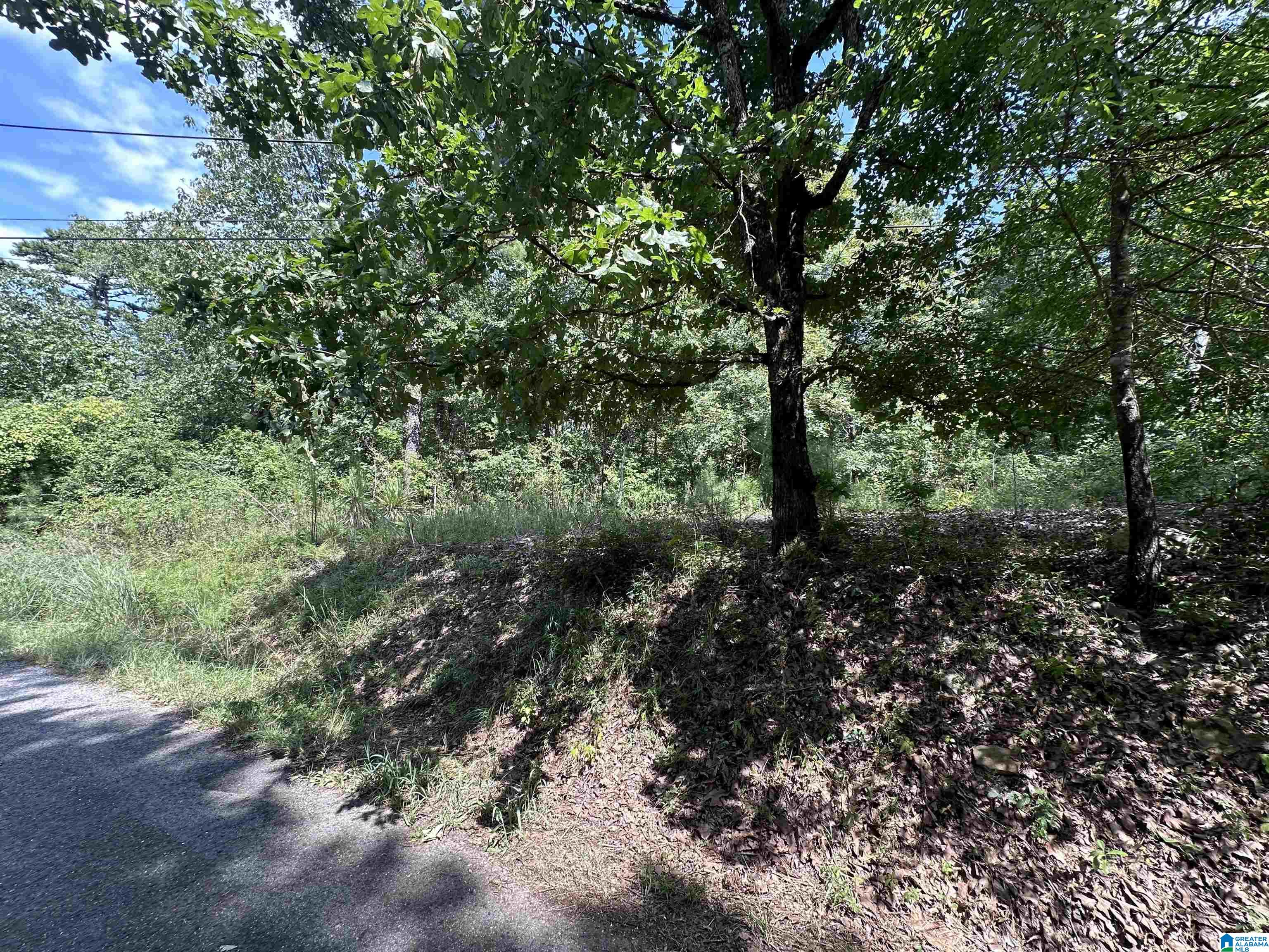 4976 Mountain Road Property Photo 4