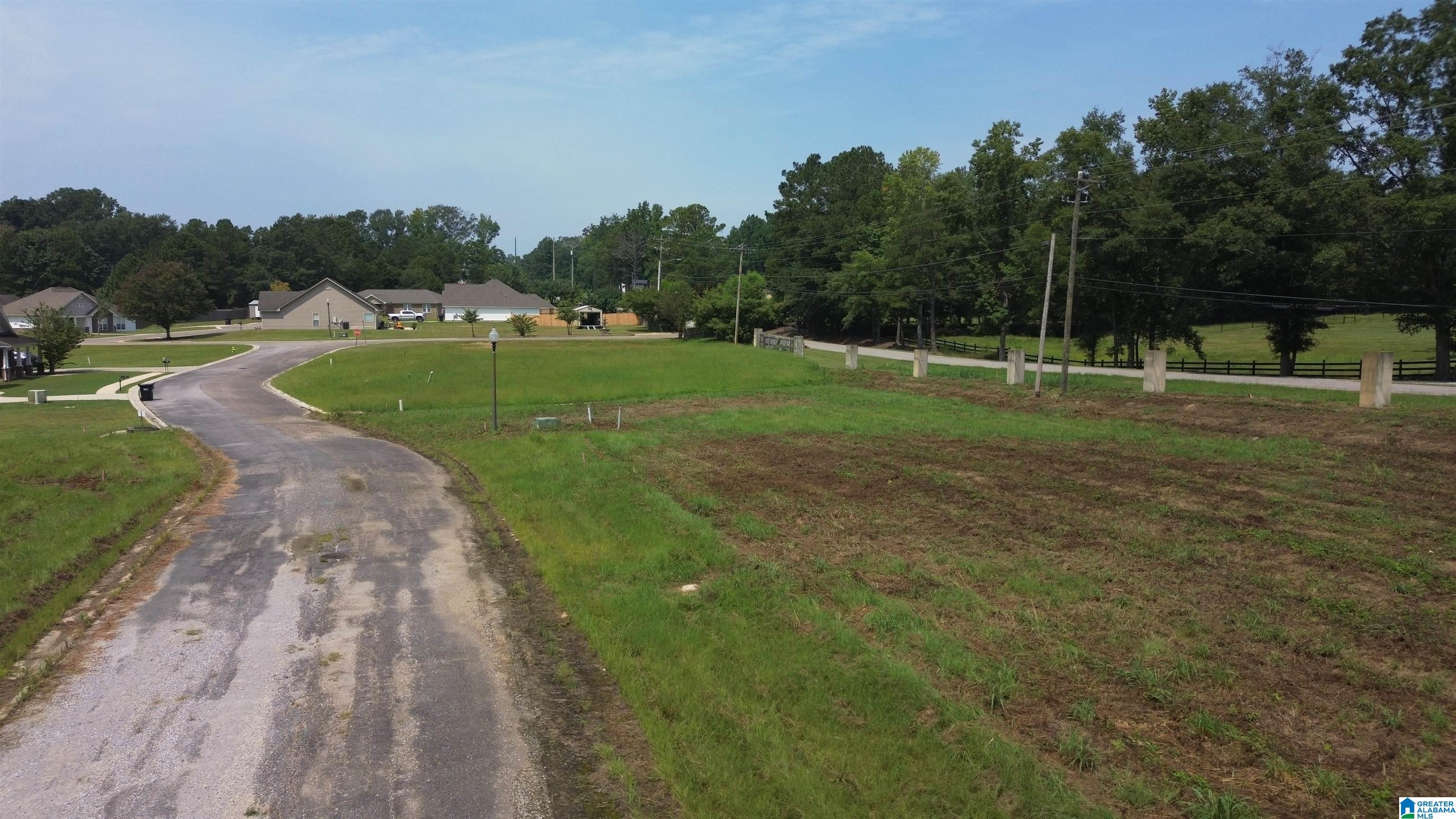 0 County Road 18 Property Photo 8