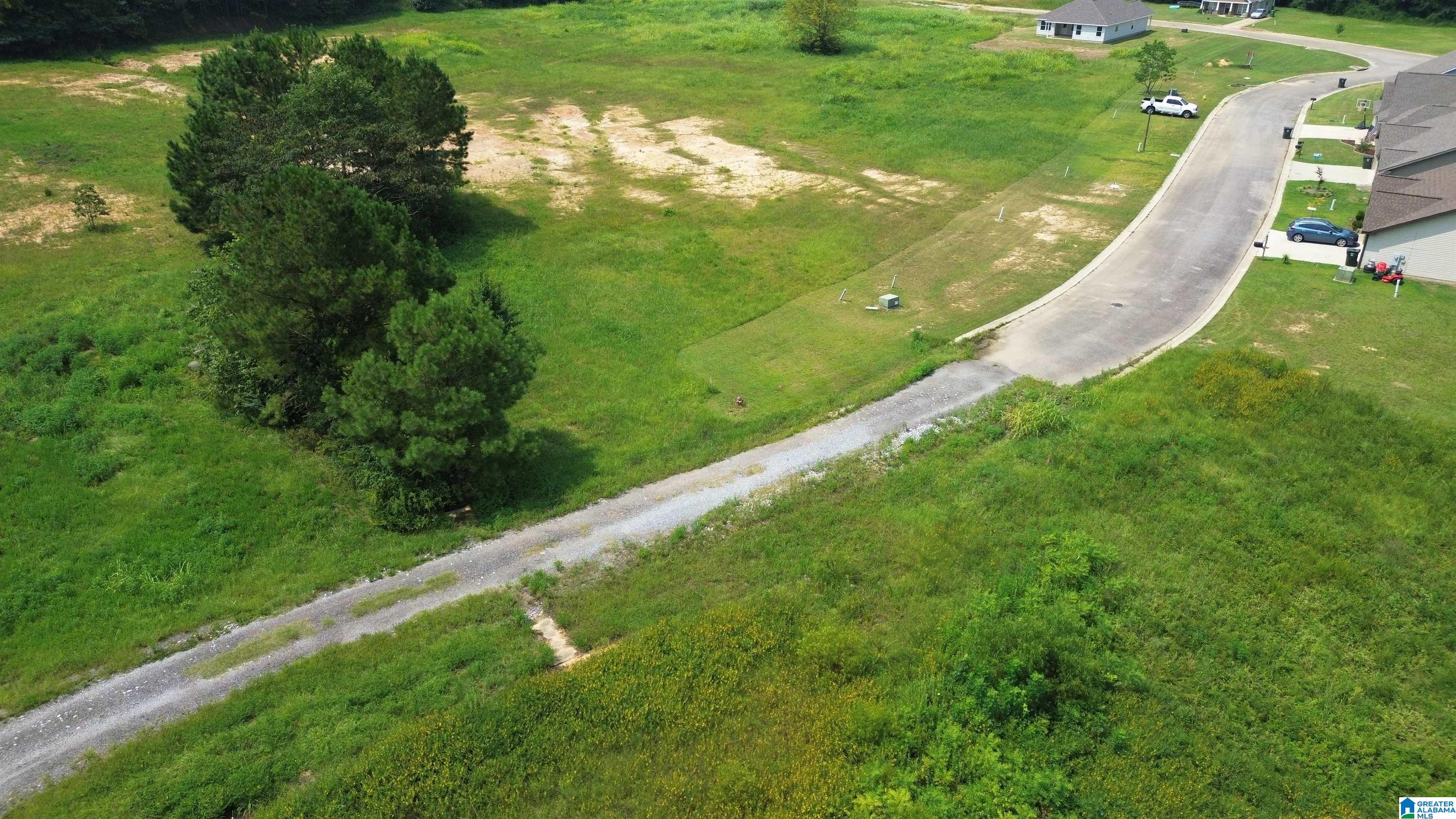 0 County Road 18 Property Photo 17