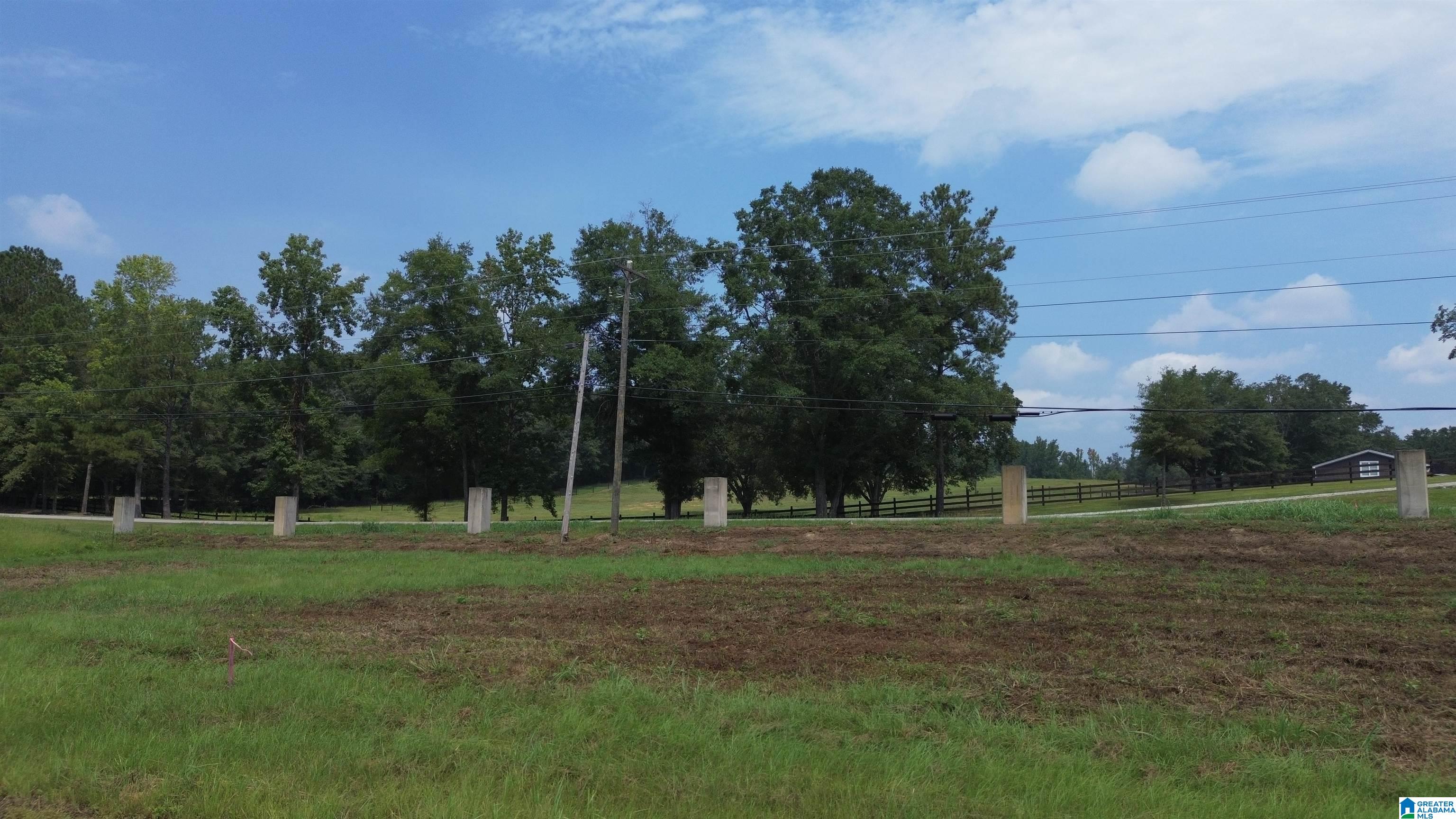 0 County Road 18 Property Photo 29