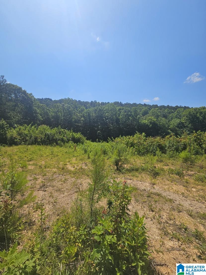 0 County Road 12 Property Photo 1