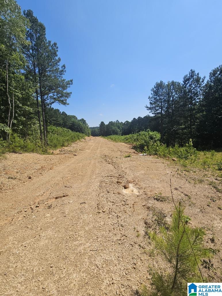 0 County Road 12 Property Photo 2