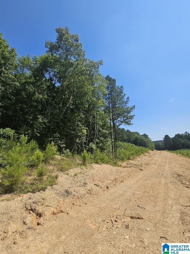 0 County Road 12 Property Photo 3