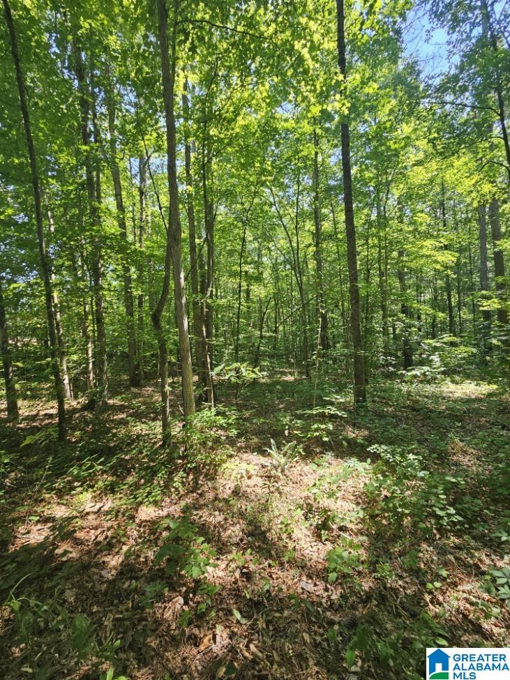 0 County Road 12 Property Photo 8
