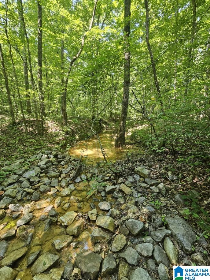0 County Road 12 Property Photo 12